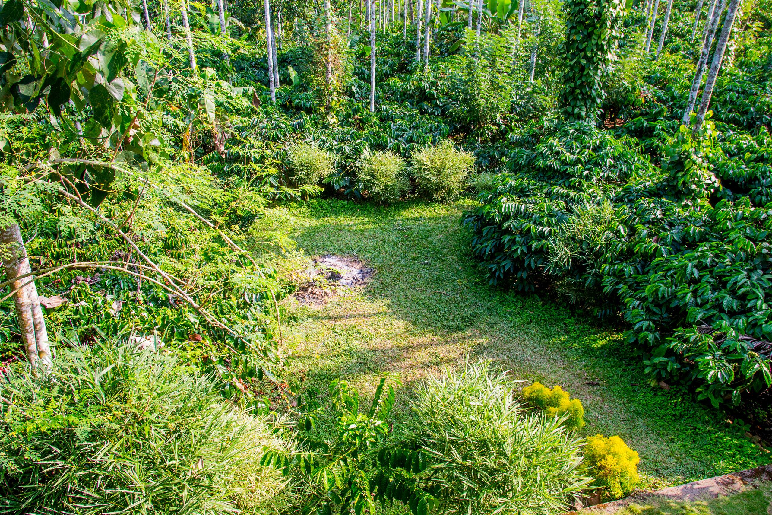 Hornbill Roost 13