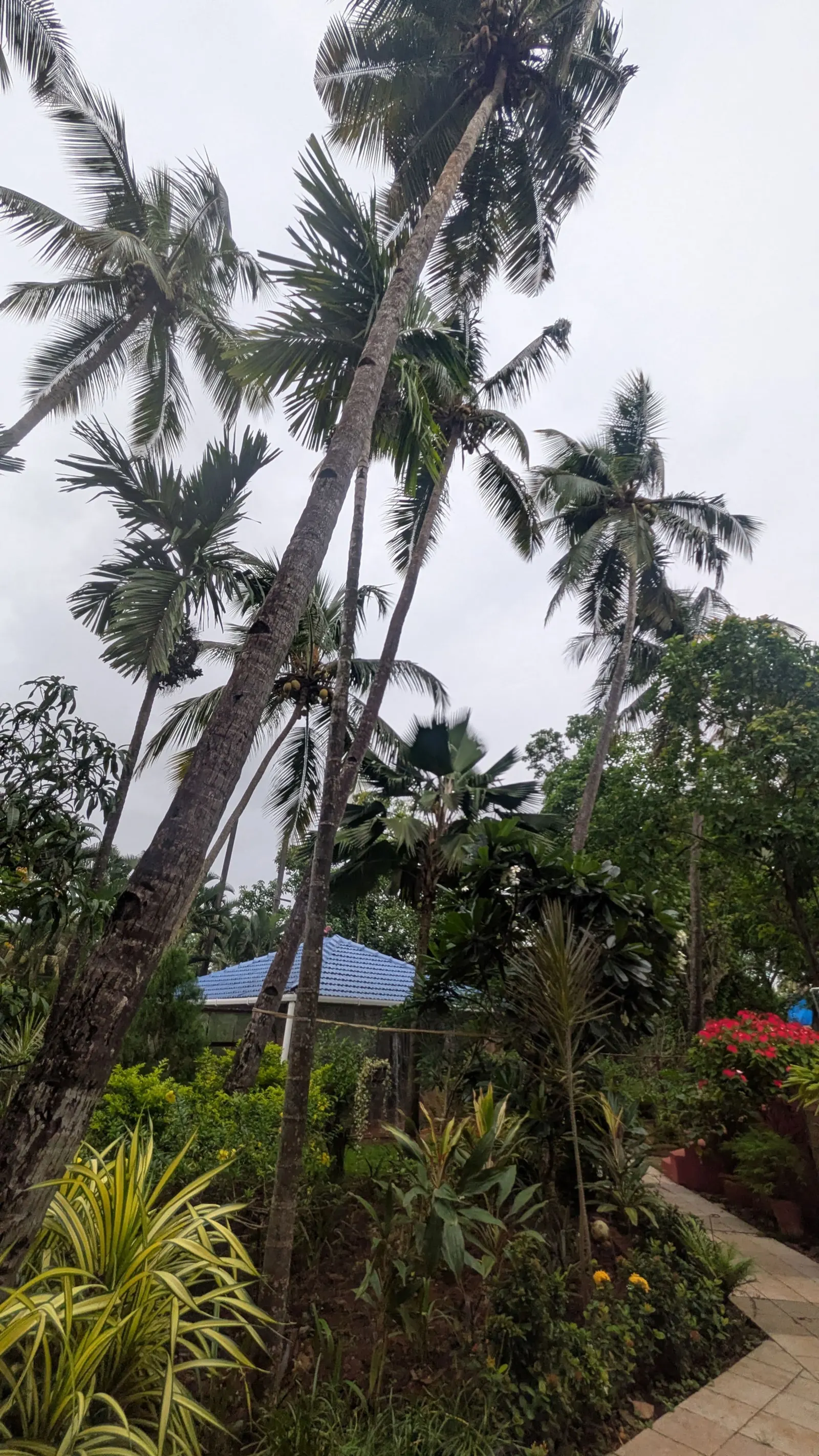 Coco & Cane 3.5BHK Pvt Pool Gazebo Beach 37