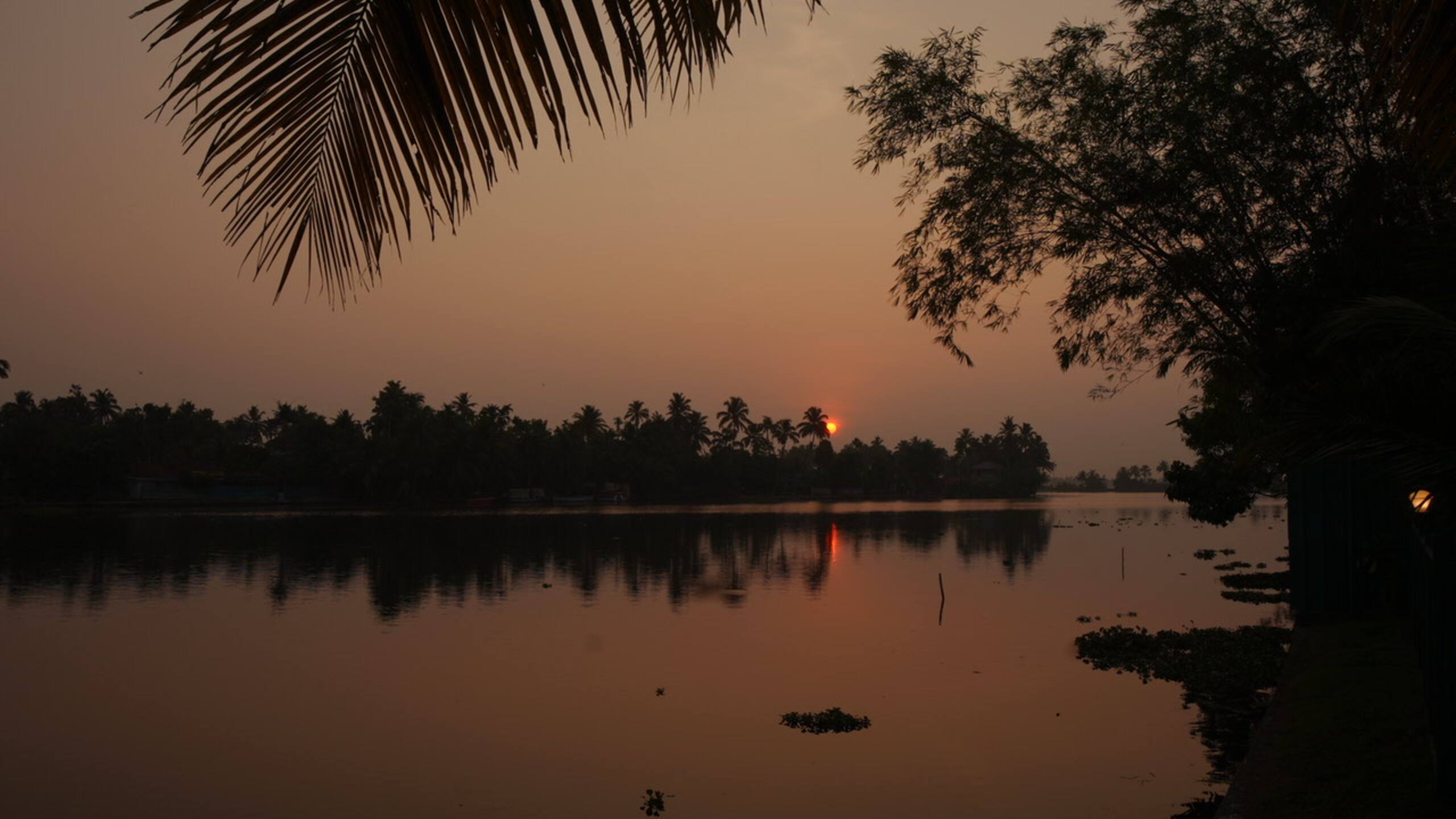 Arayaal by WanderEase, Alappuzha 23