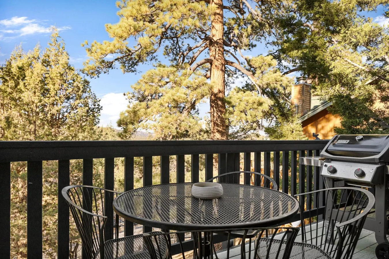 Serene Pines w Hot Tub, BBQ, Pets — photo 5