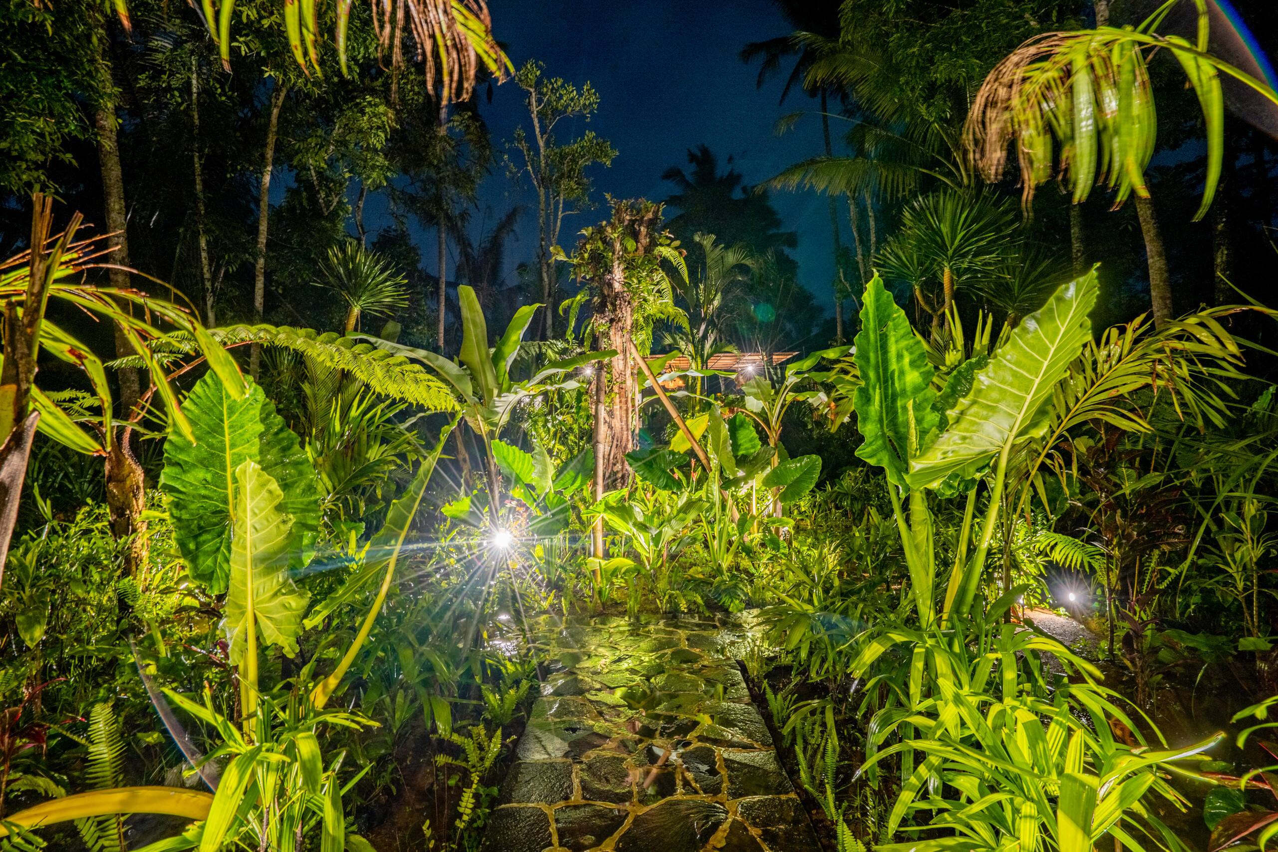 Wooden Villa with Infinity Pool and Jungle View #2 9