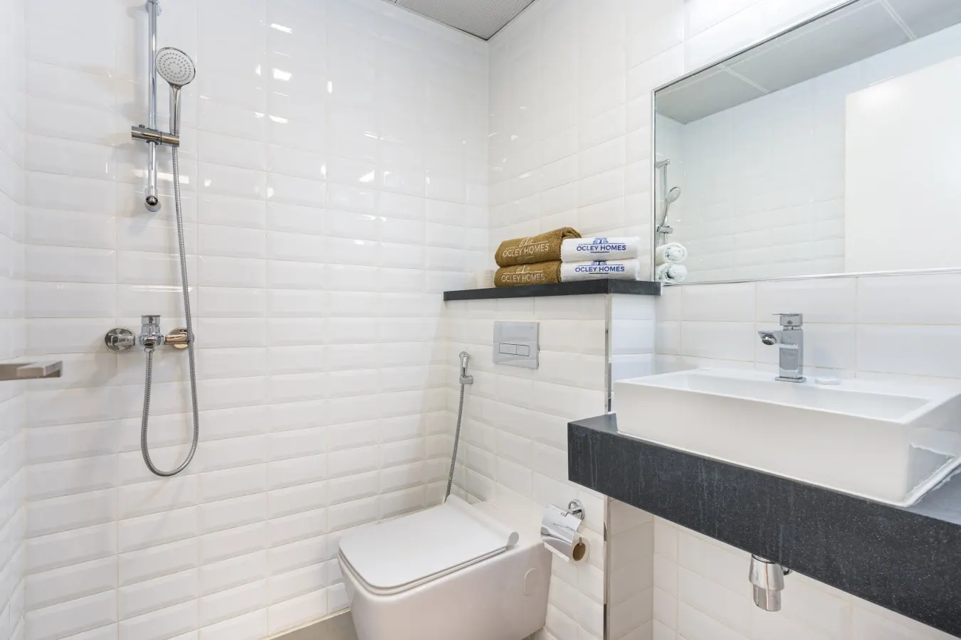 Bright and Spacious Home in JVC 16