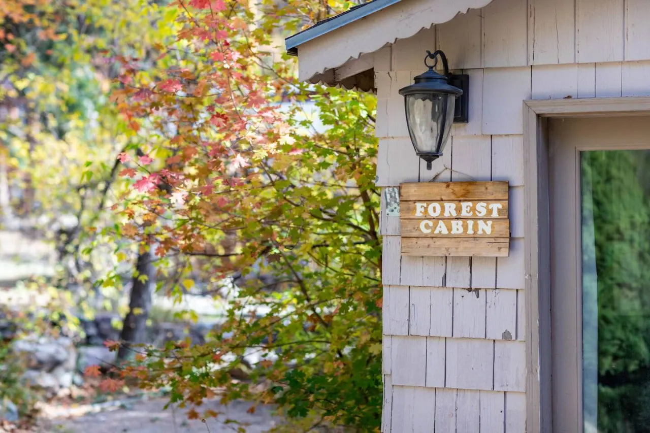 Adorable Studio Cabin on Big Cottonwood River — photo 4