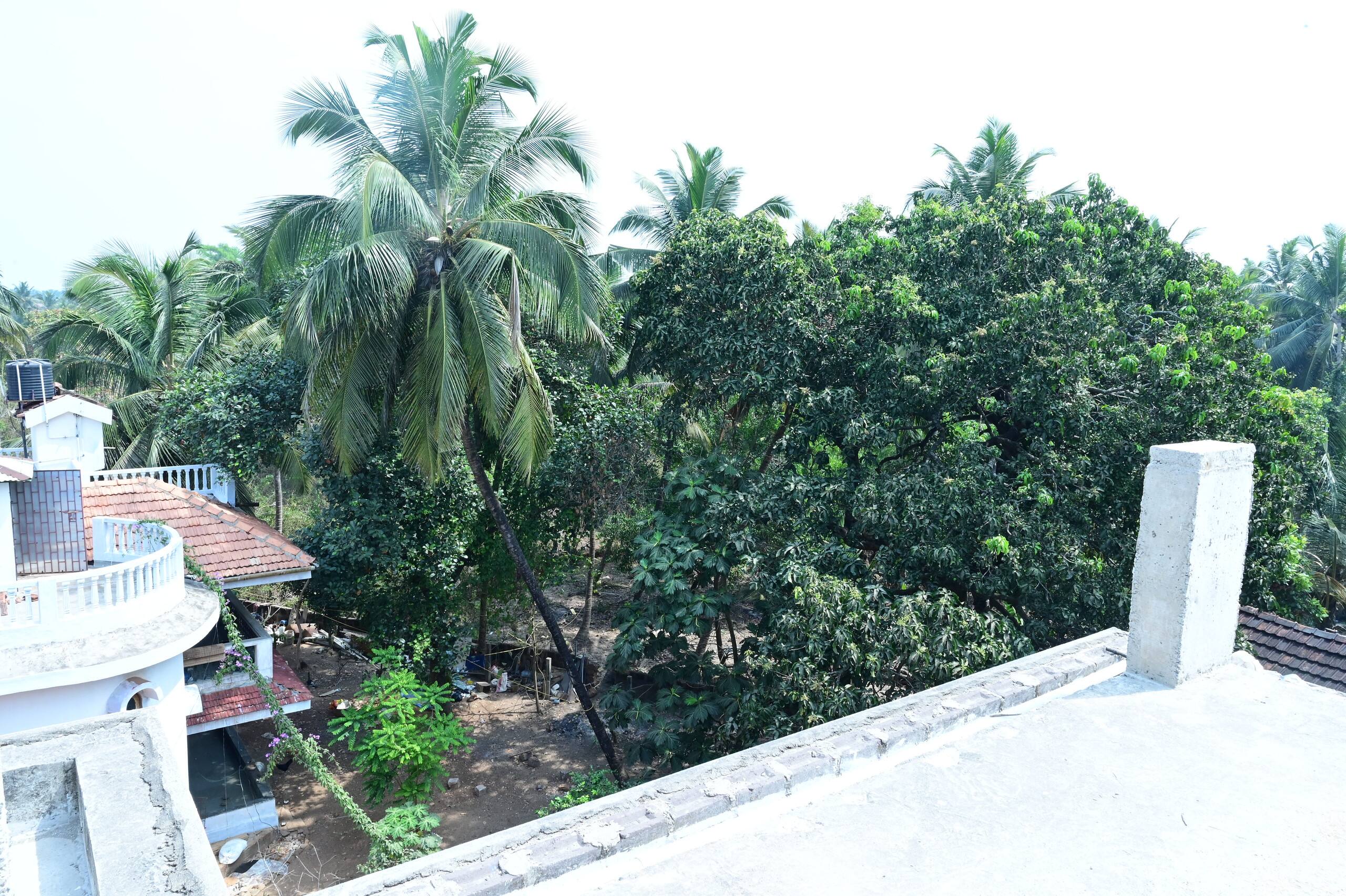 Casa Azul de Colva Lily 5 7