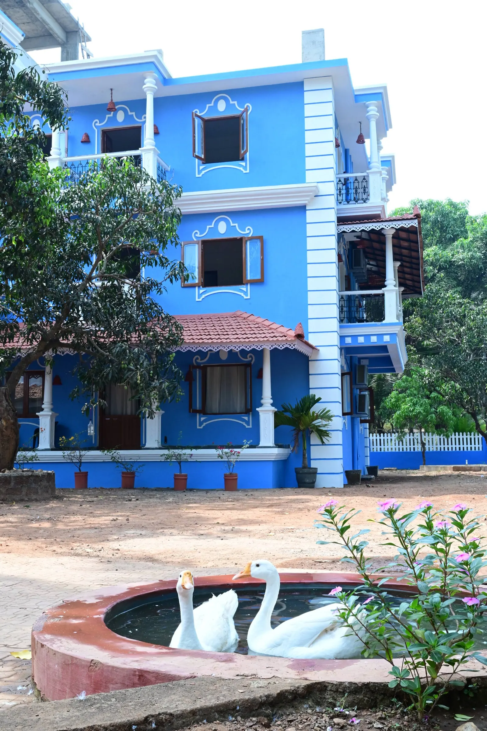 Casa Azul de Colva Lily 5 8