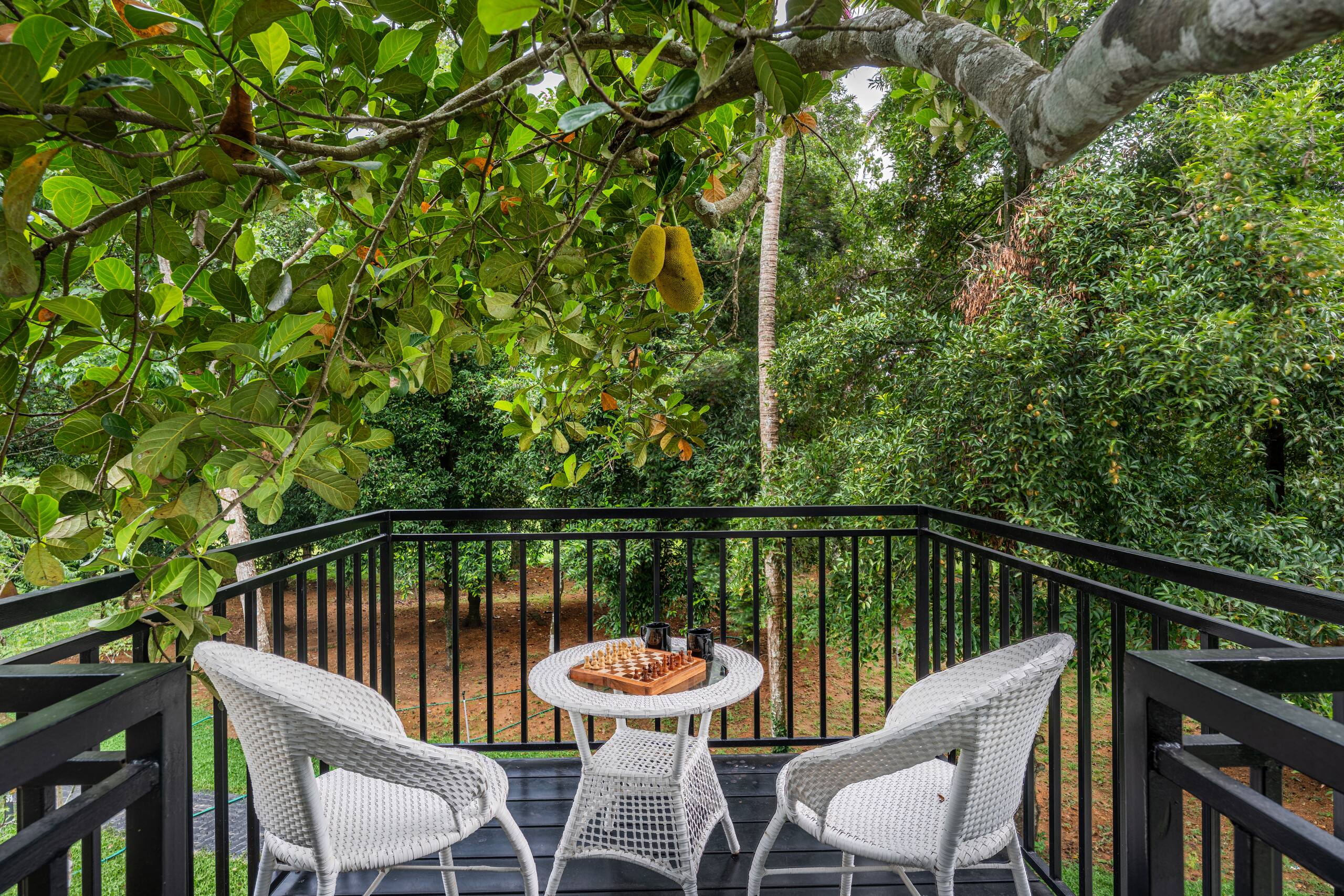 Le Jardin Luxury Pool Villa, Kochi - Munnar route 27