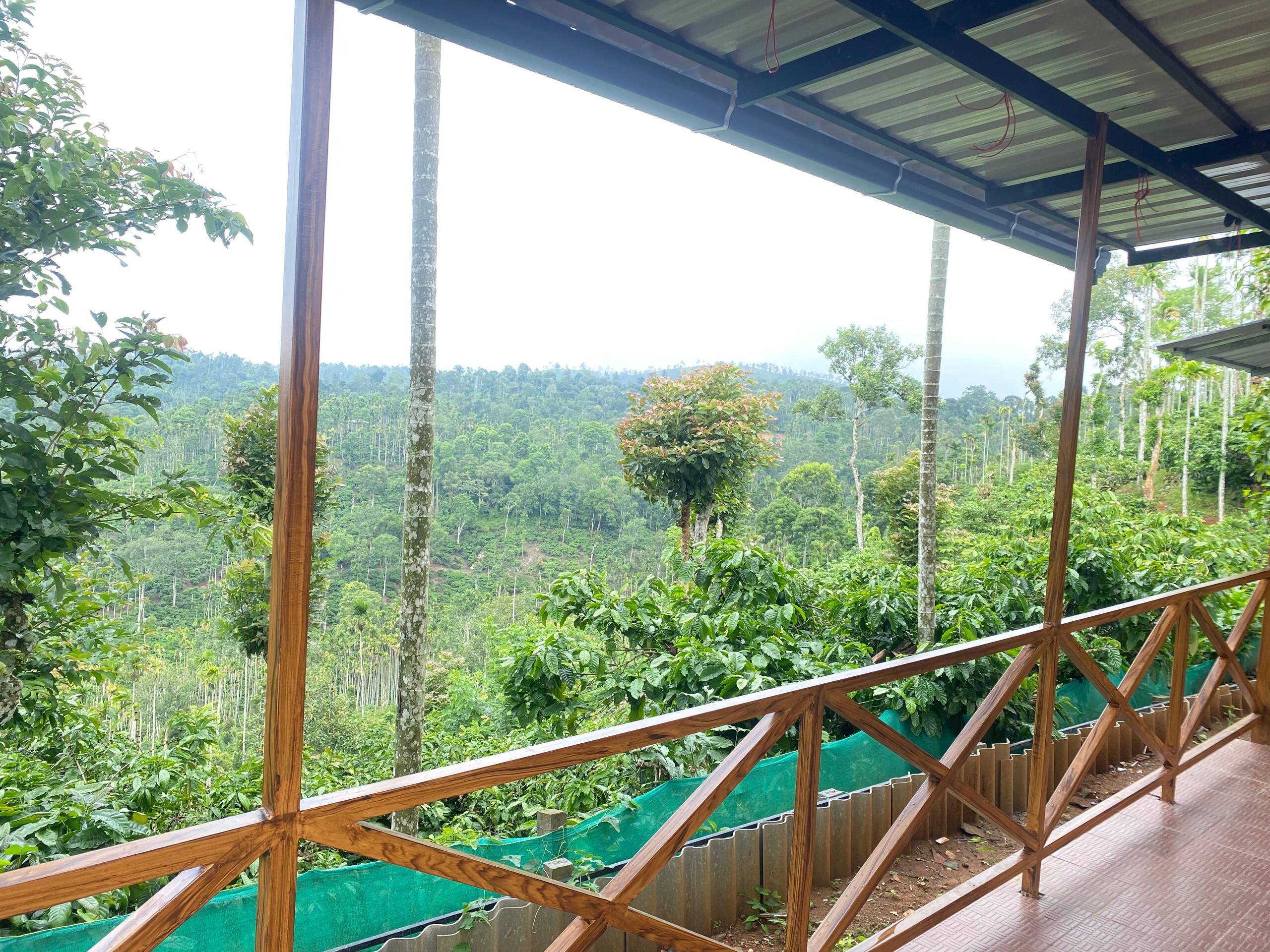 Aashiana Plantation Retreat- HOME STAY 14
