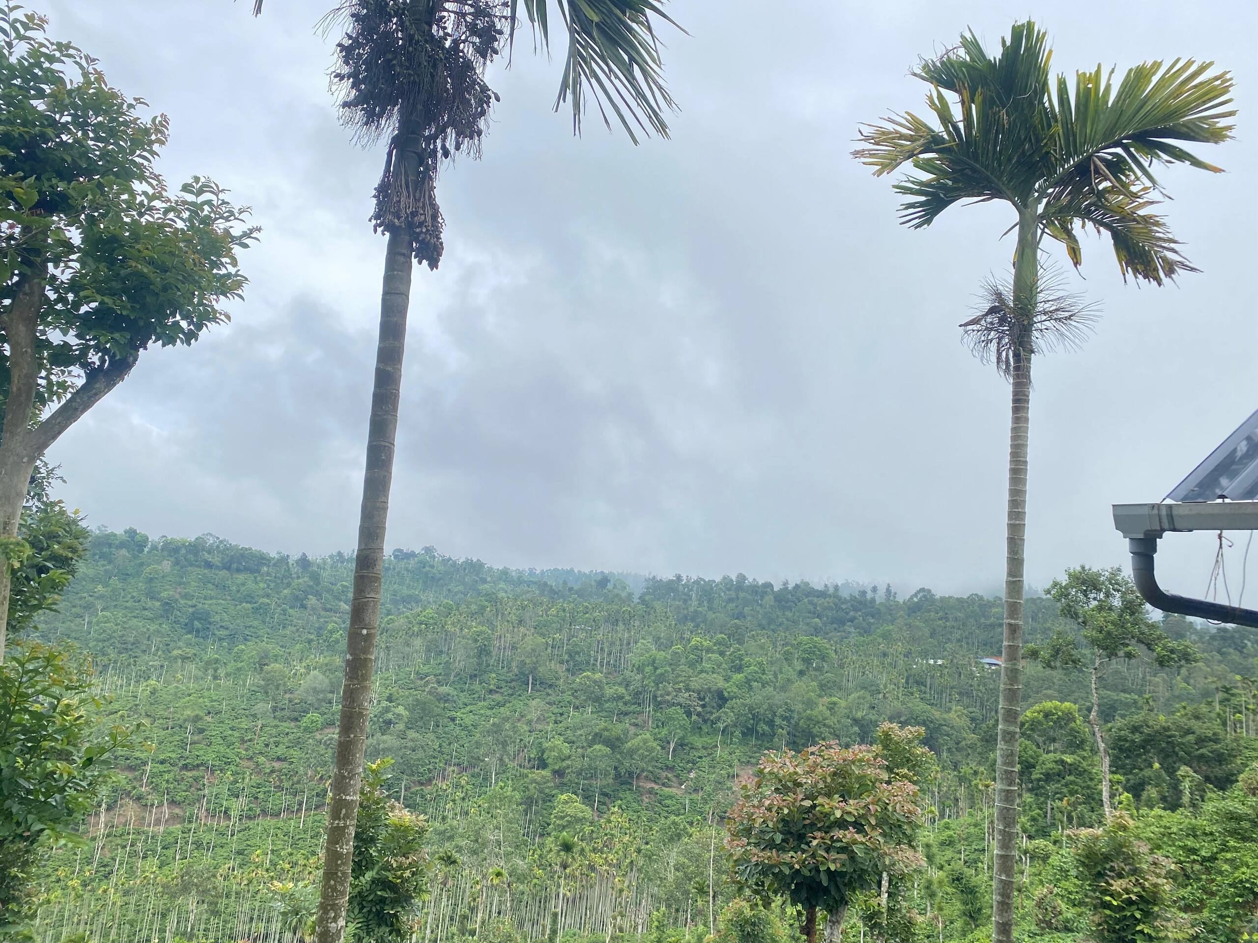 Aashiana Plantation Retreat- HOME STAY 20