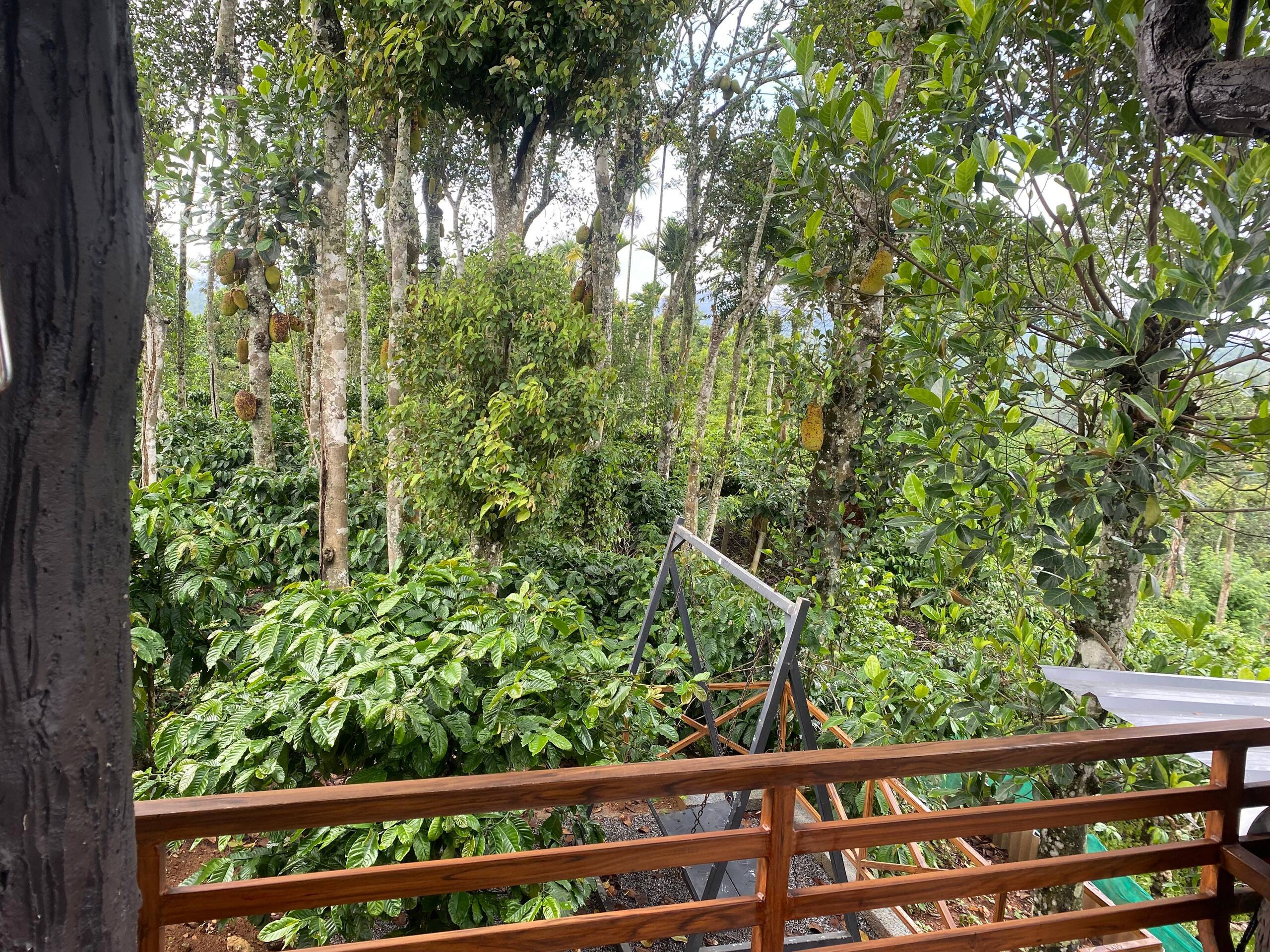 Aashiana Plantation Retreat- HOME STAY 18