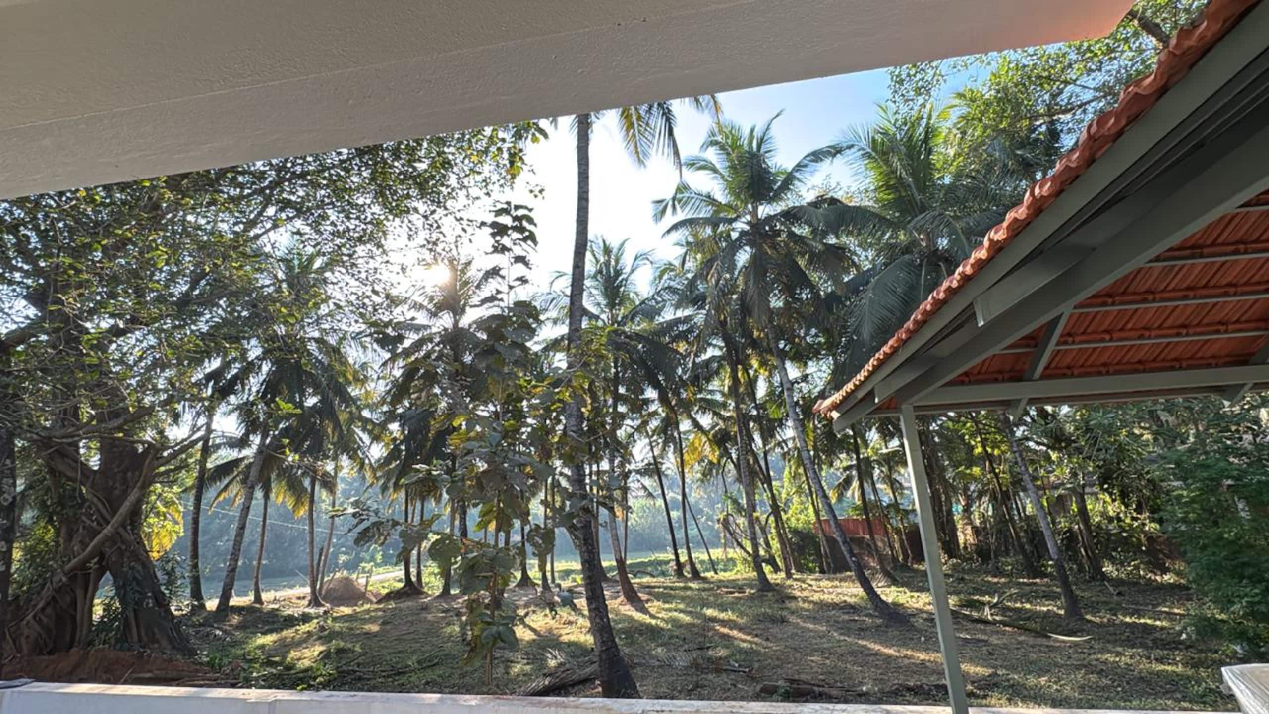 SlowTide | Private Pool | Relaxing 4BHK Field View 8