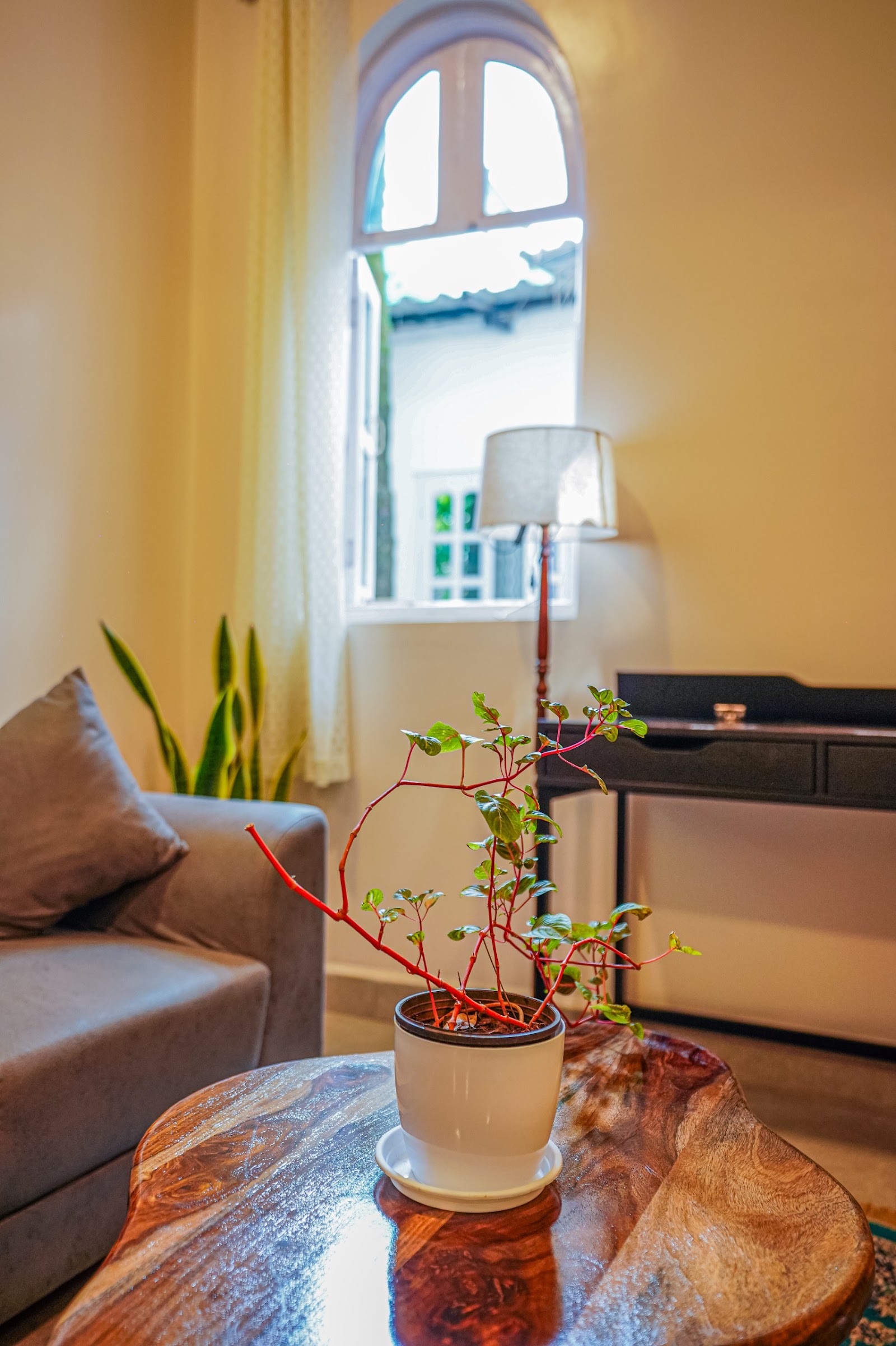 The Lazy Leaf Anjuna 2BHK big villa 7