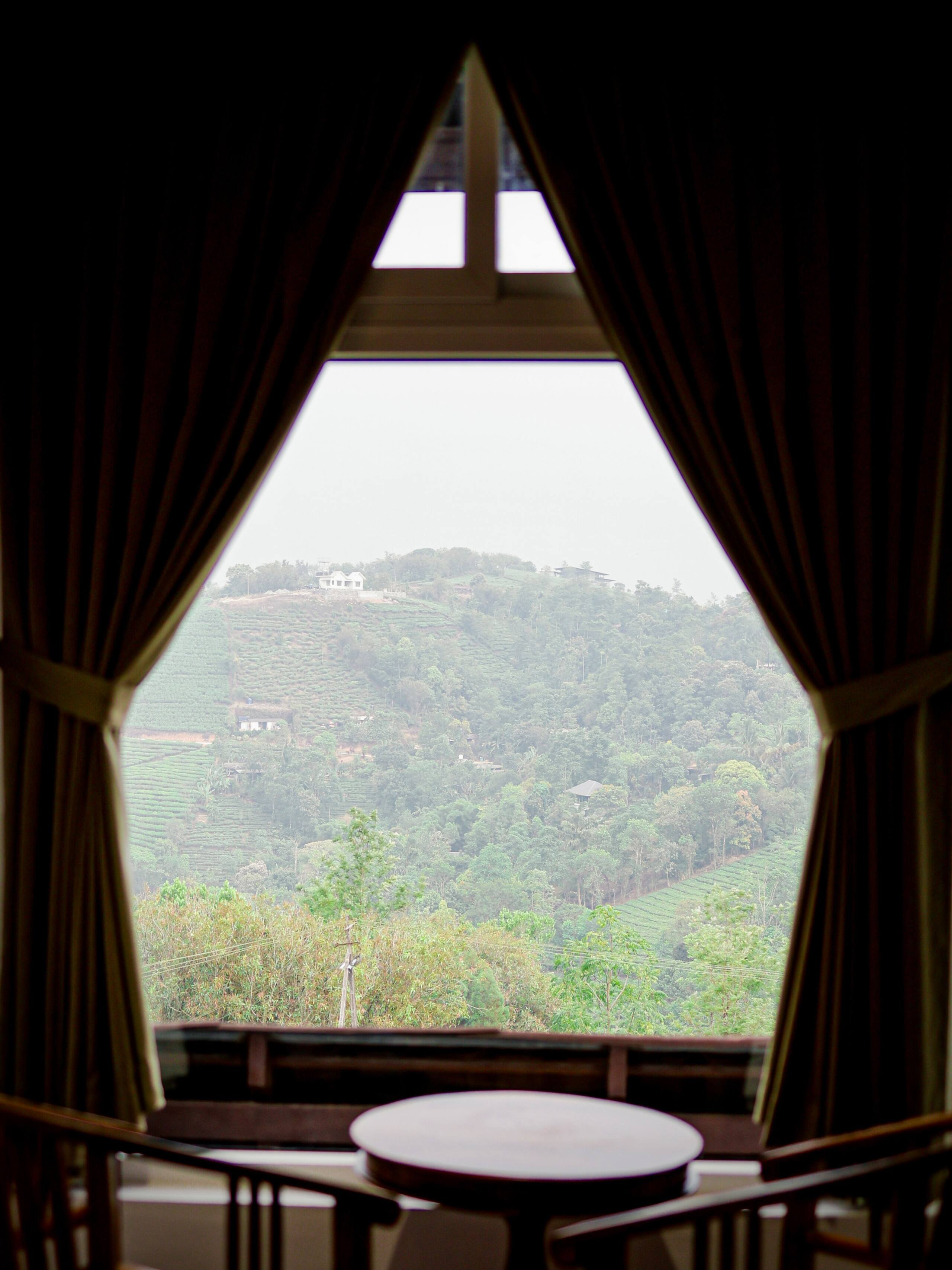 The Highlander - Private Tea Bungalow 22