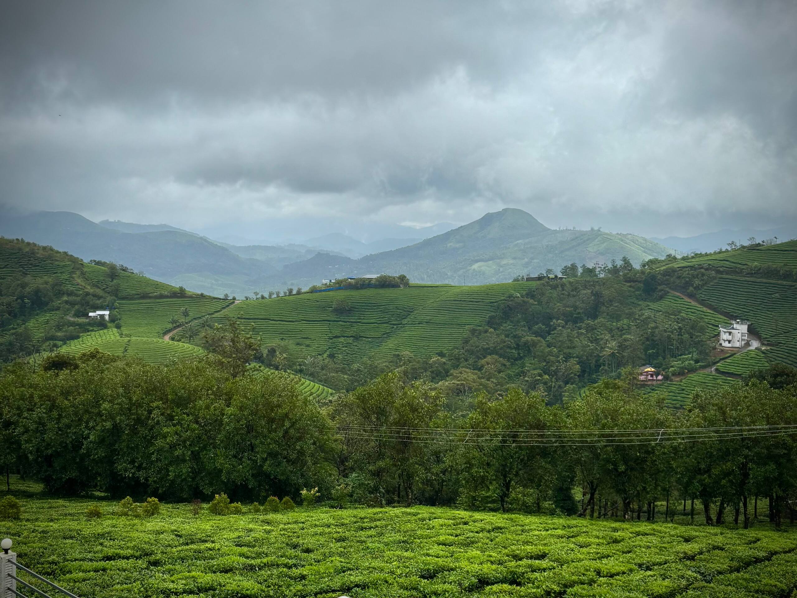 The Highlander - Private Tea Bungalow 21