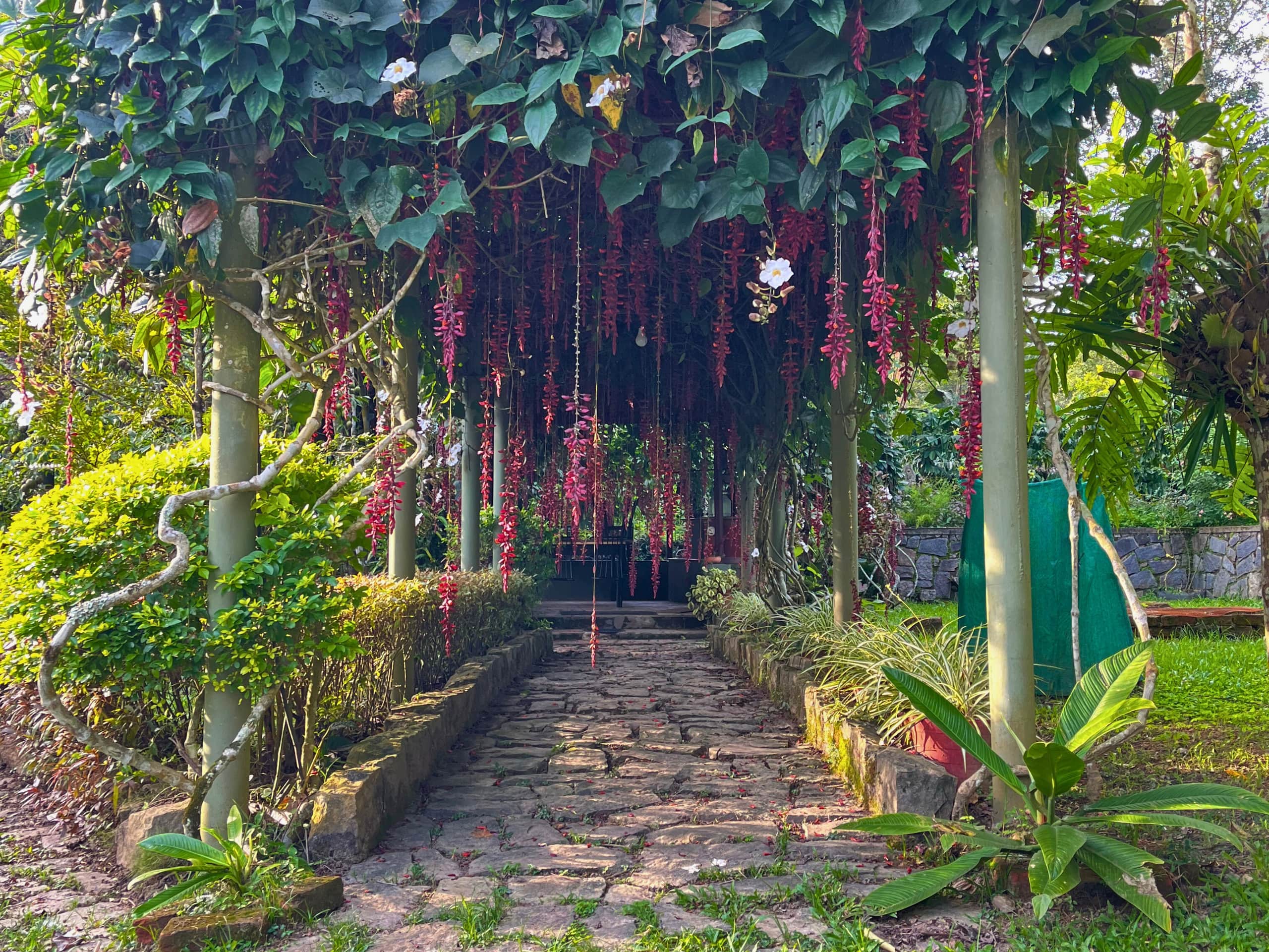 Coffee Estate Stay | Felice Stays 34