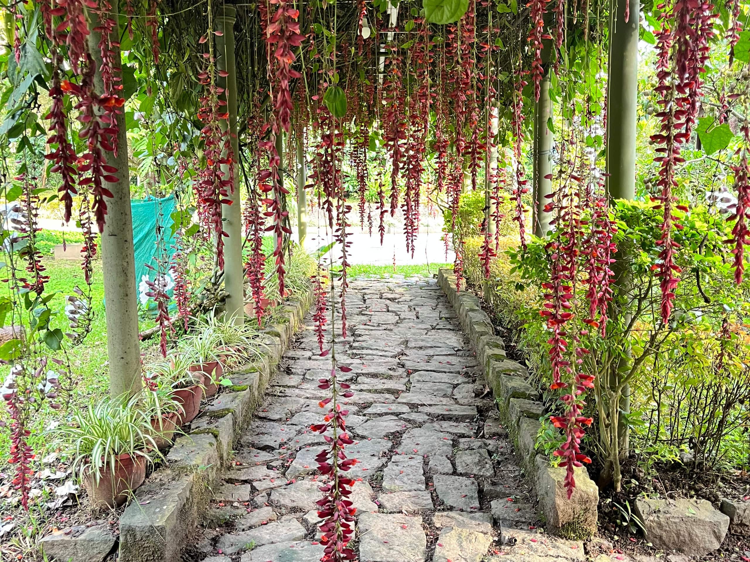 Coffee Estate Stay | Felice Stays 40
