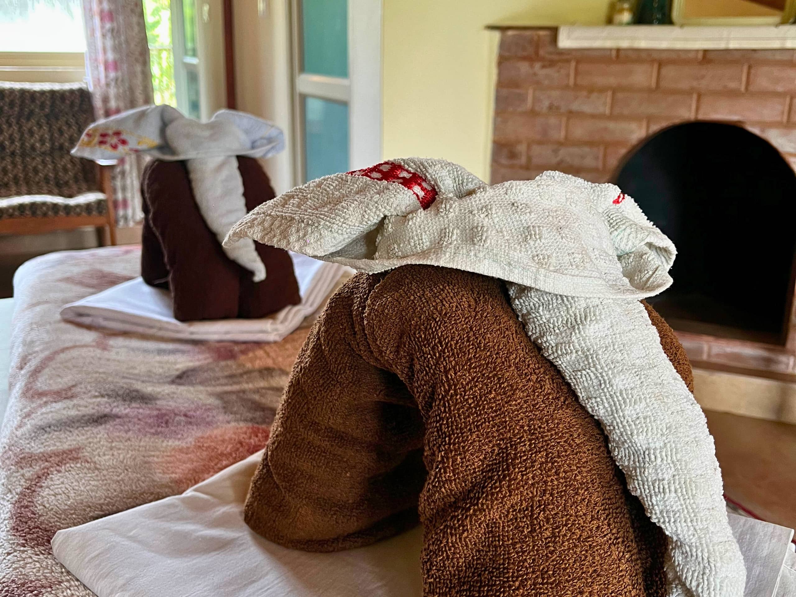 Coffee Estate Stay | Felice Stays 32
