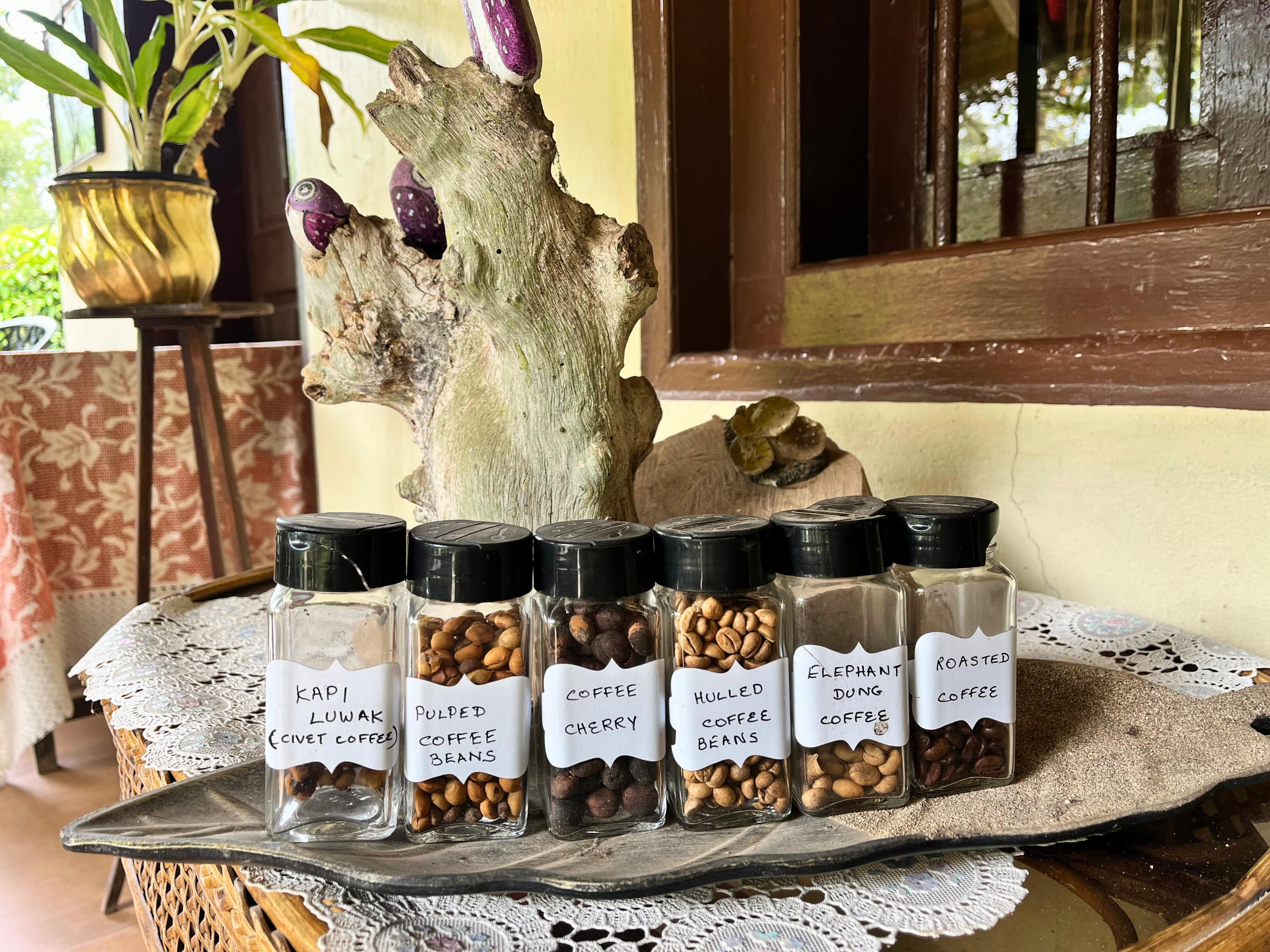 Coffee Estate Stay | Felice Stays 9