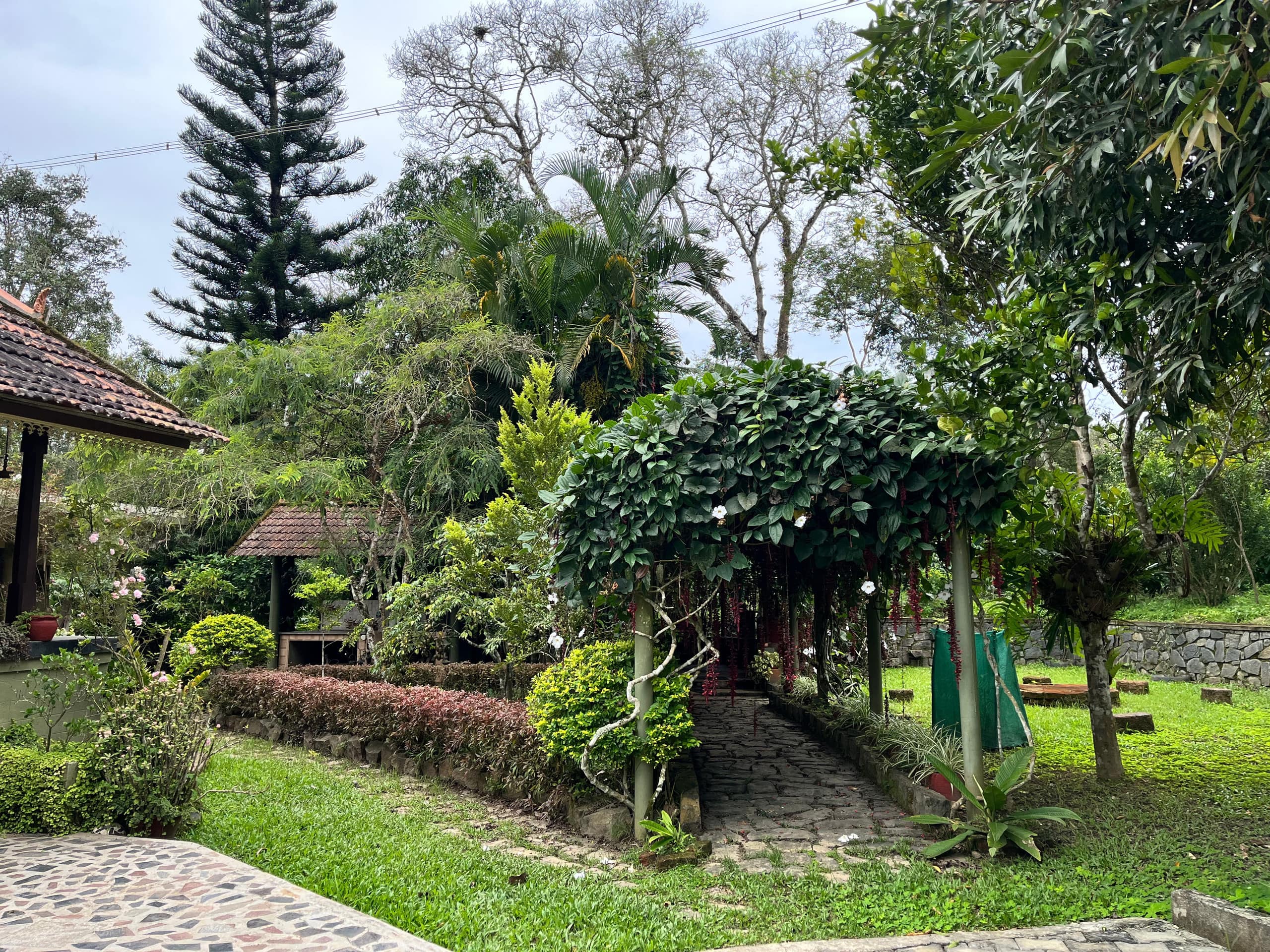Coffee Estate Stay | Felice Stays 31