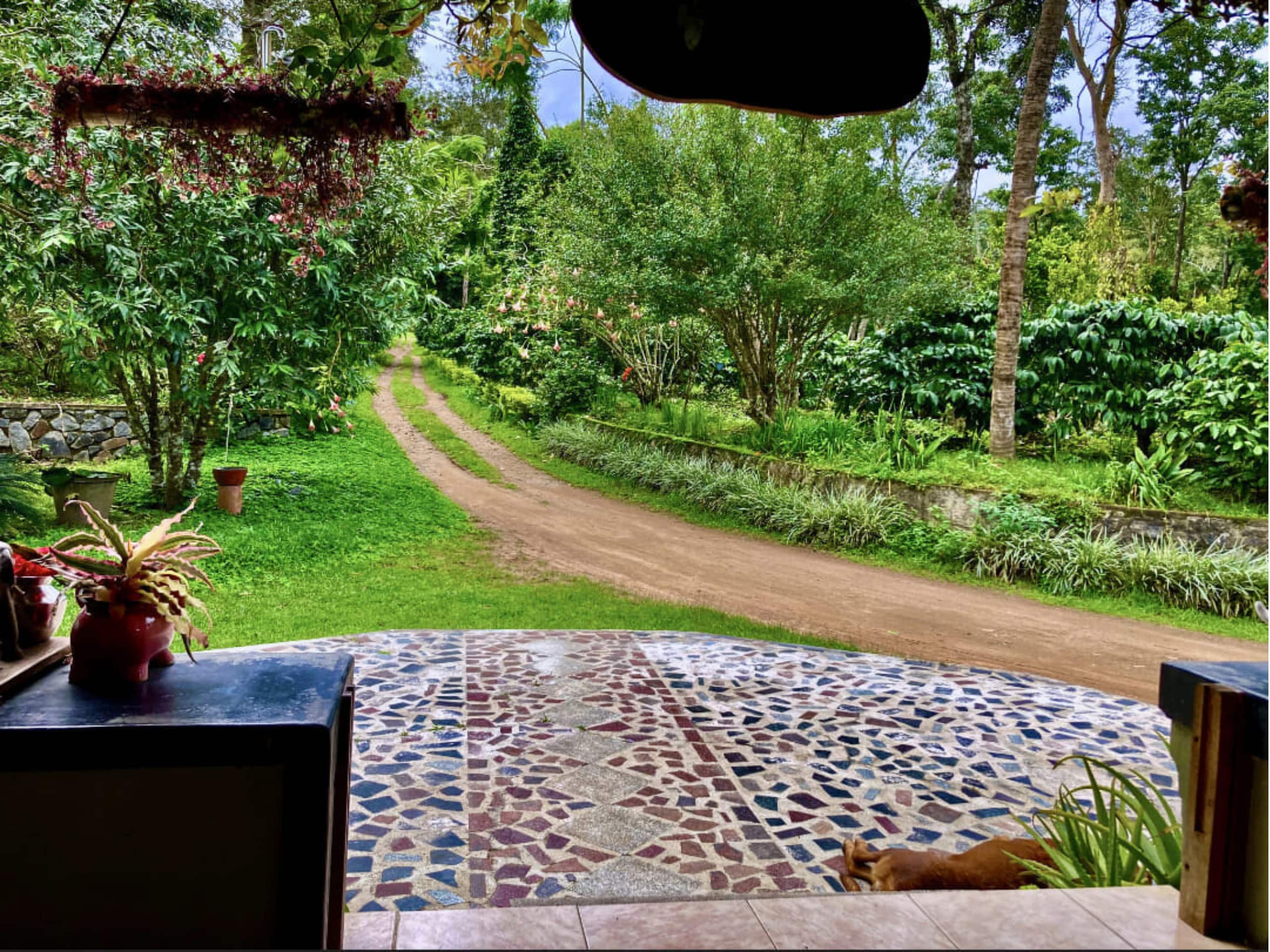Coffee Estate Stay | Felice Stays 11