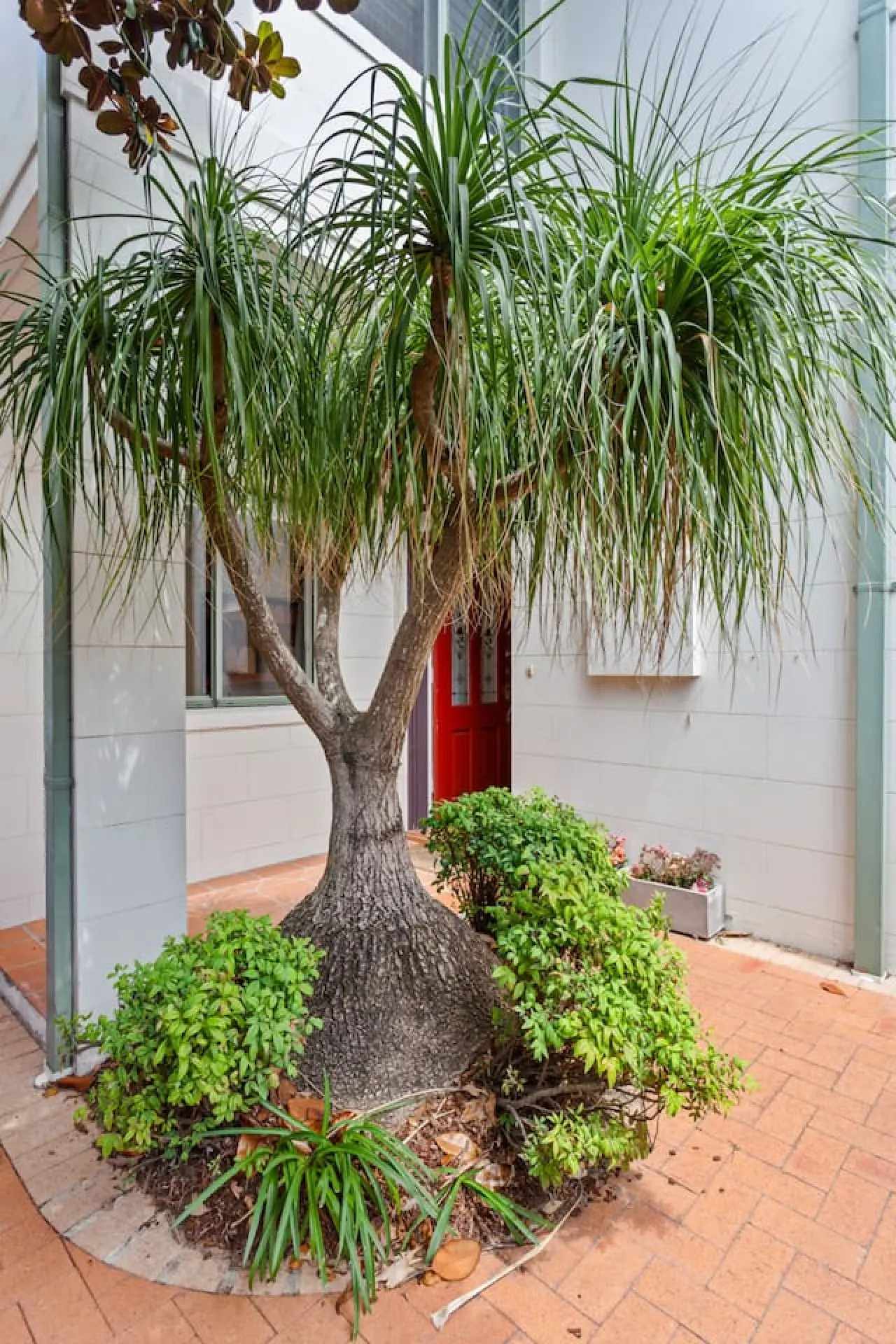 Peaceful Two Level Home Between Coogee & Randwick 17