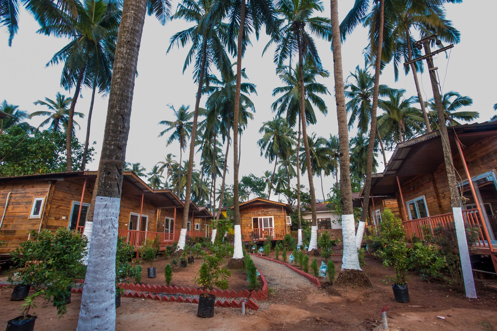 Mariners Bay Retreat Stylish 1BHK in mandrem Goa 1