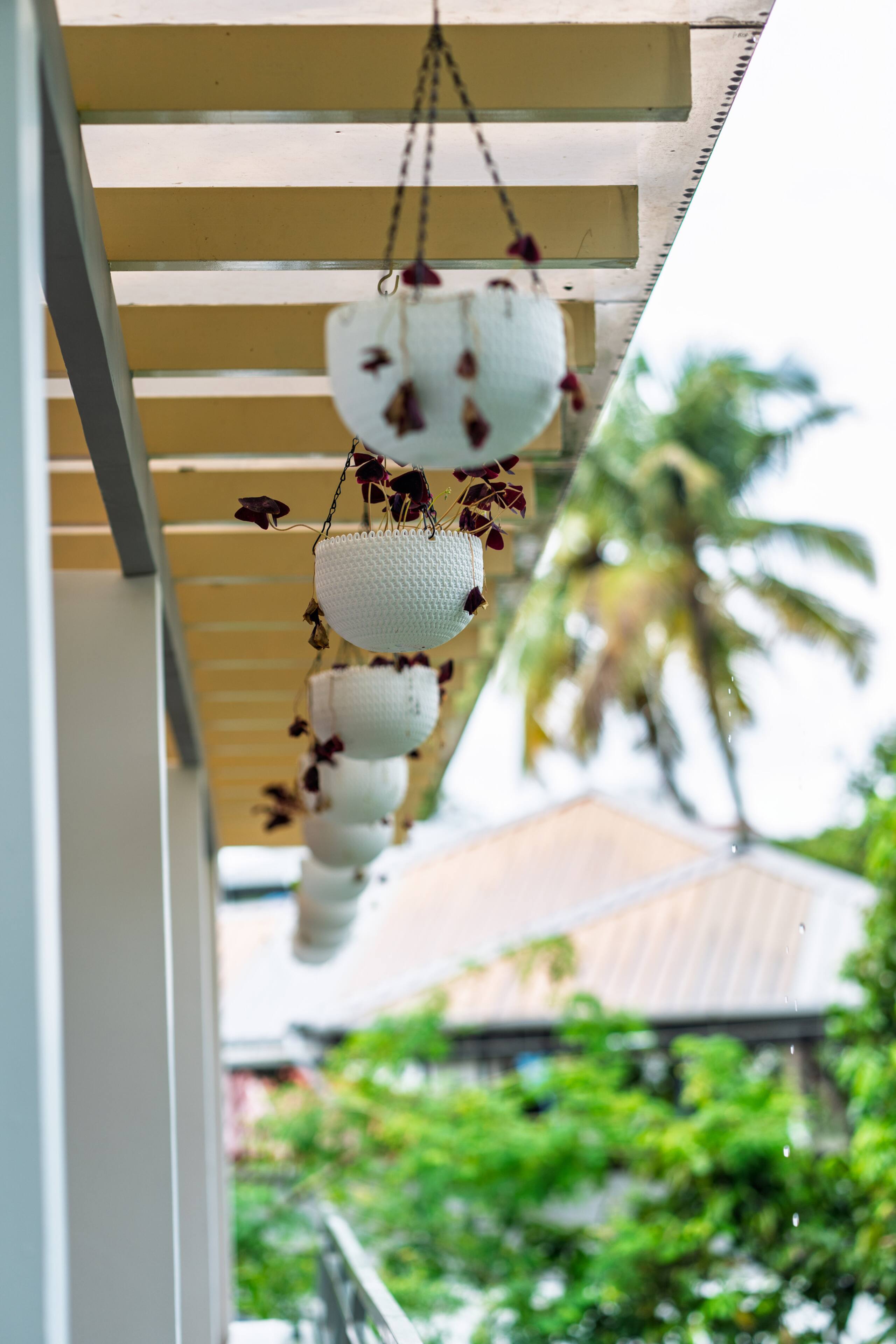 Coral Haven 15