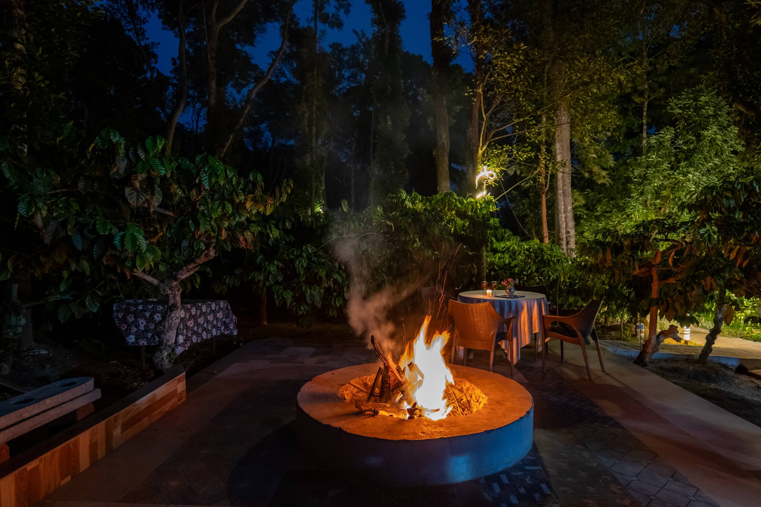 Suite W/ Shared Garden in Avocado & Coffee Estate — photo 4