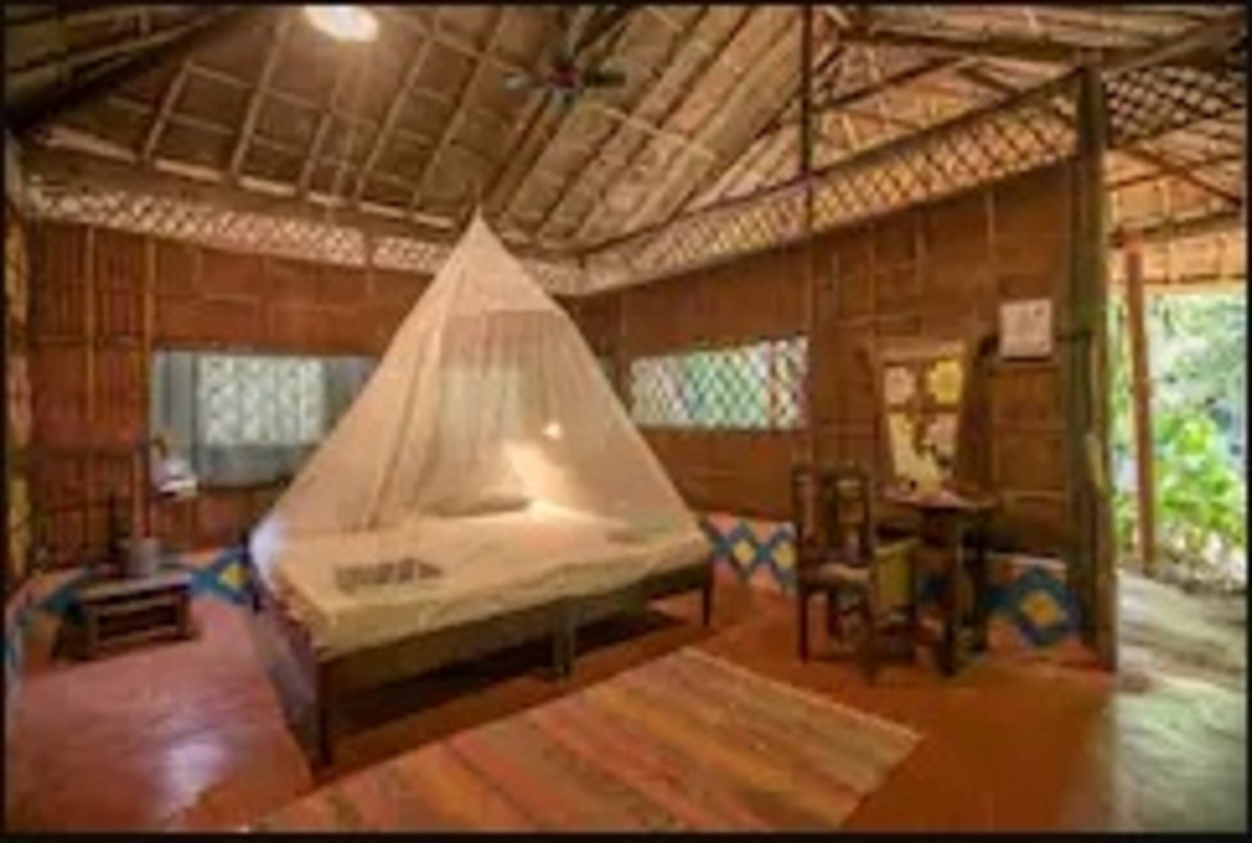 Heritage Private Home in Jungle, 5 min from beach 15