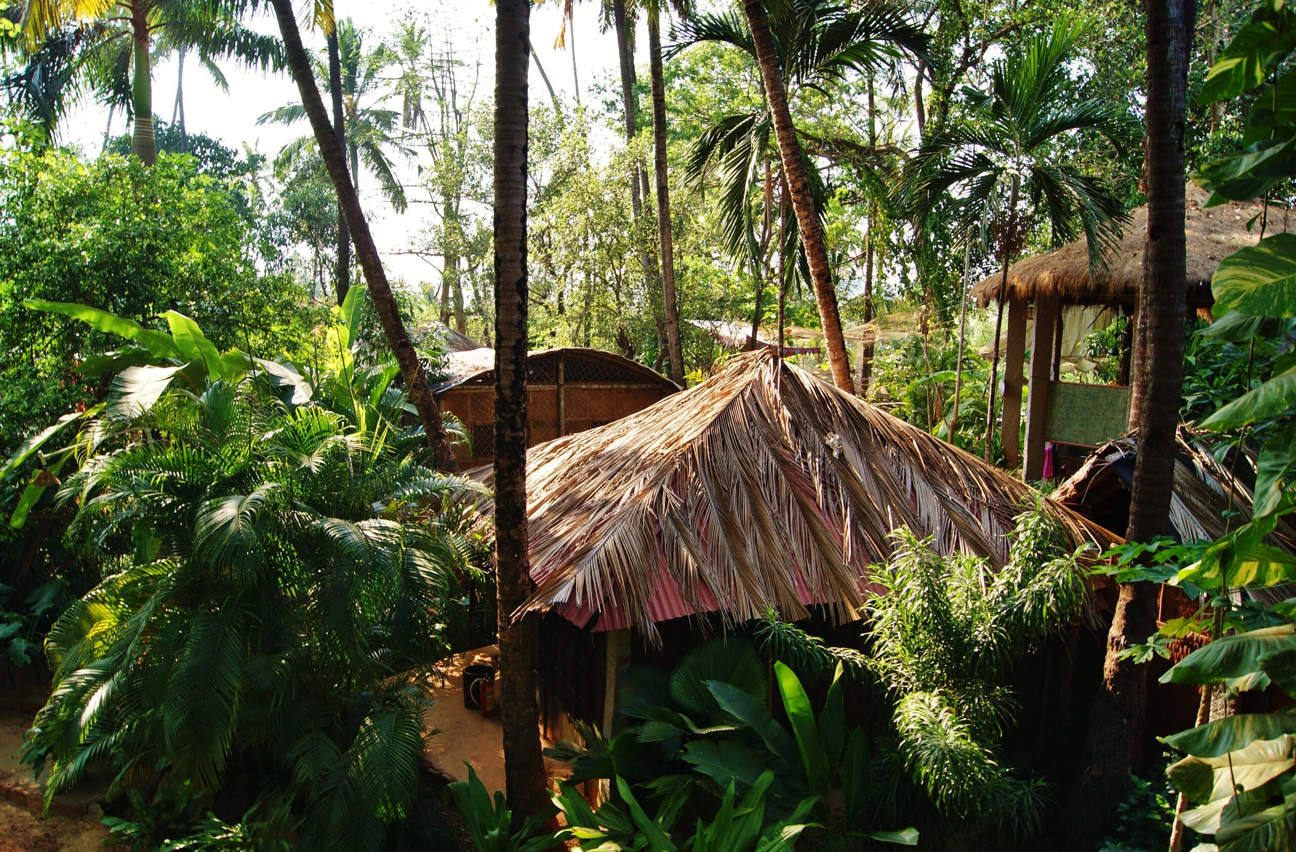 Heritage Private Home in Jungle, 5 min from beach 8