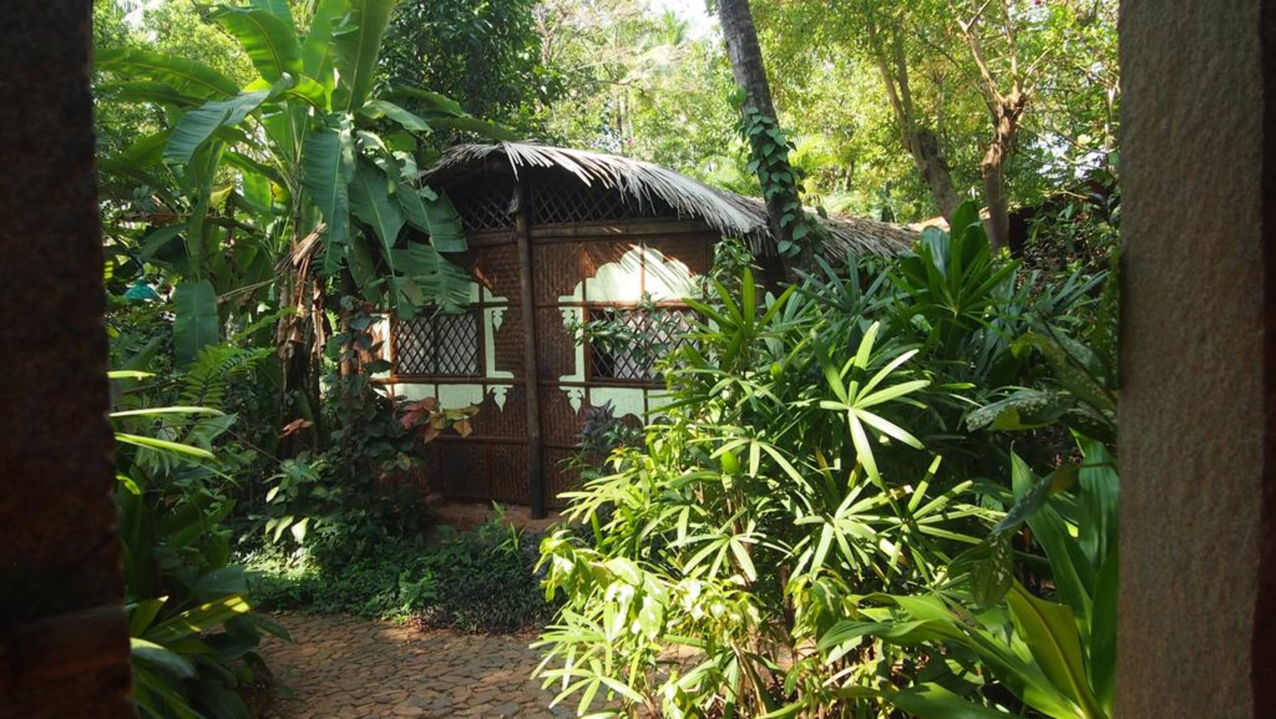 Heritage Private Home in Jungle, 5 min from beach — photo 3