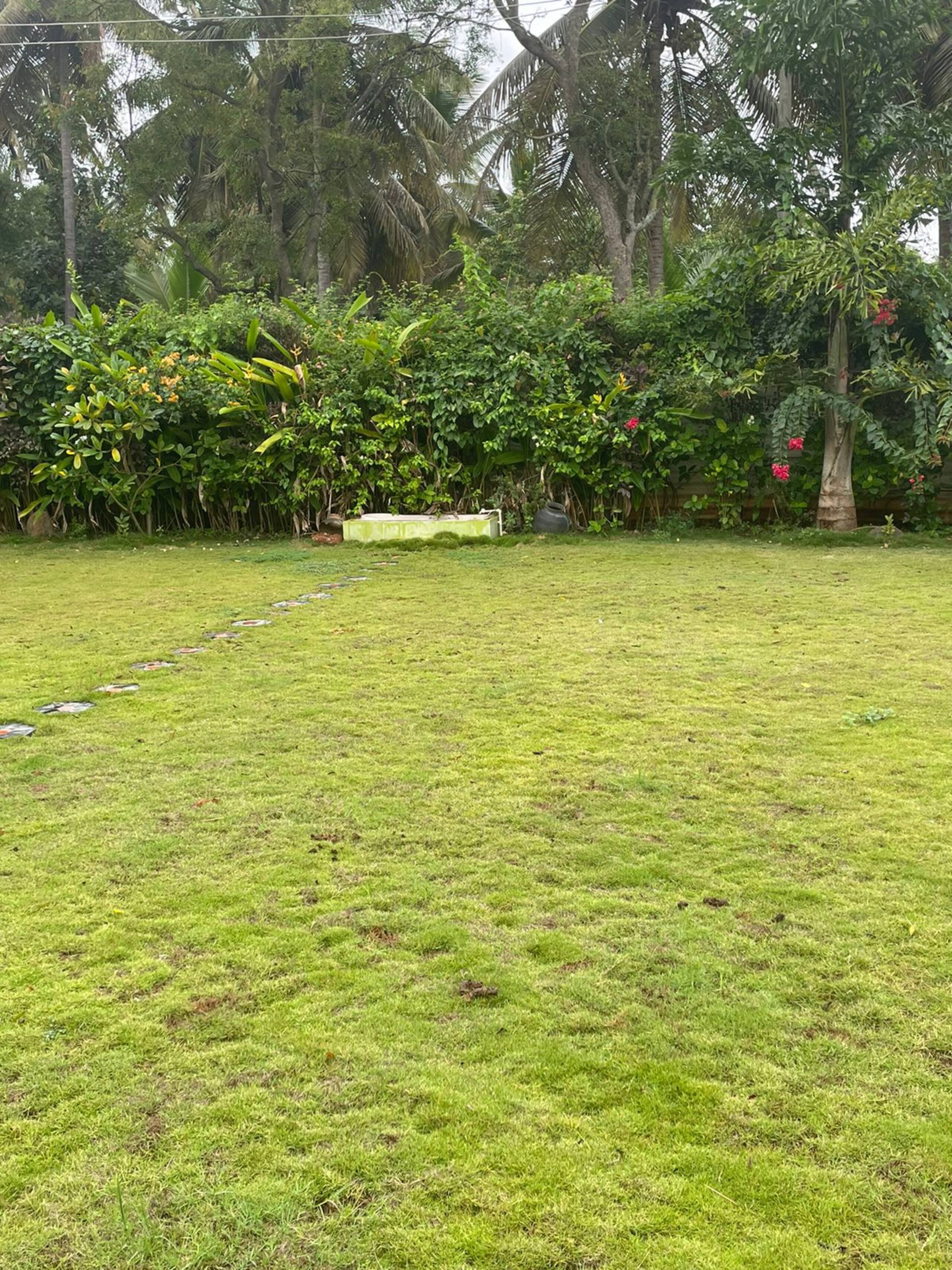 Greenline Traditional Court Yard Farm Stays 9