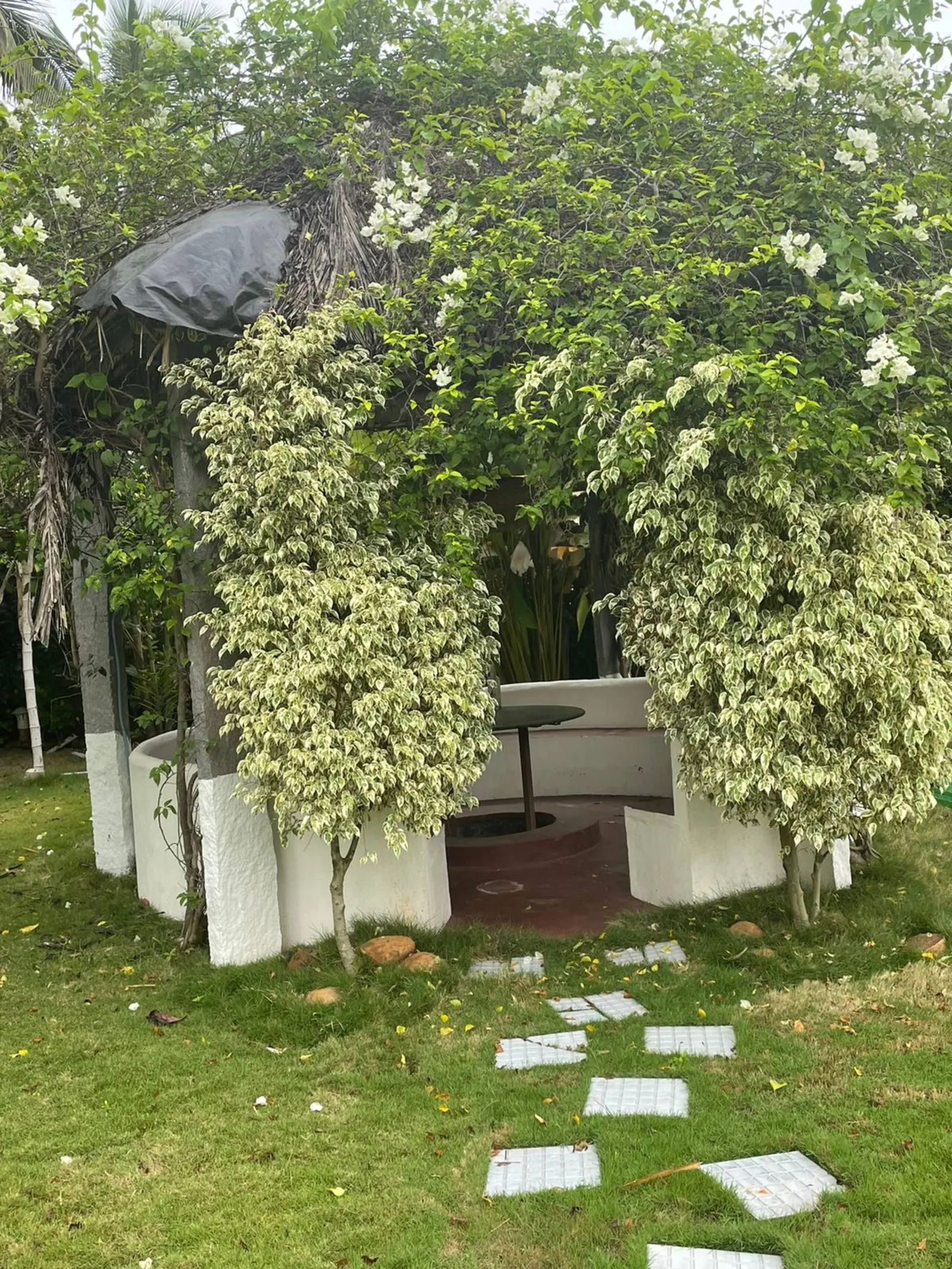 Greenline Traditional Court Yard Farm Stays 8