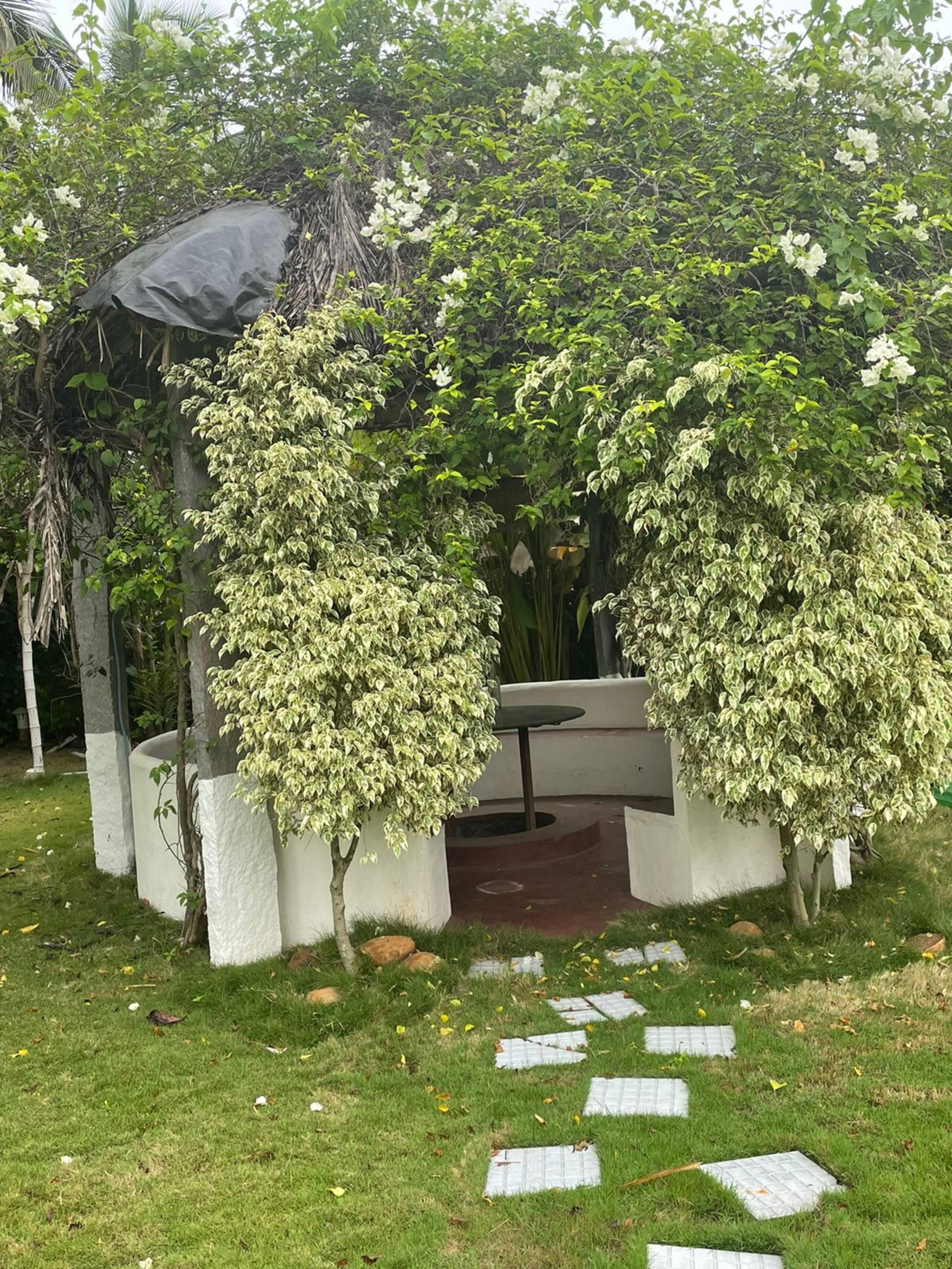 Greenline Traditional Court Yard Farm Stays 8