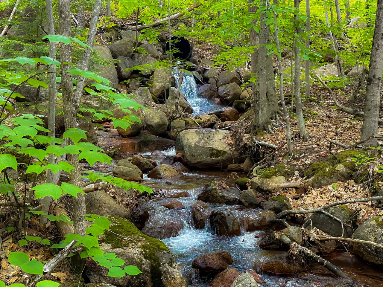 Rustic Luxe w/ Creek & Privacy 6