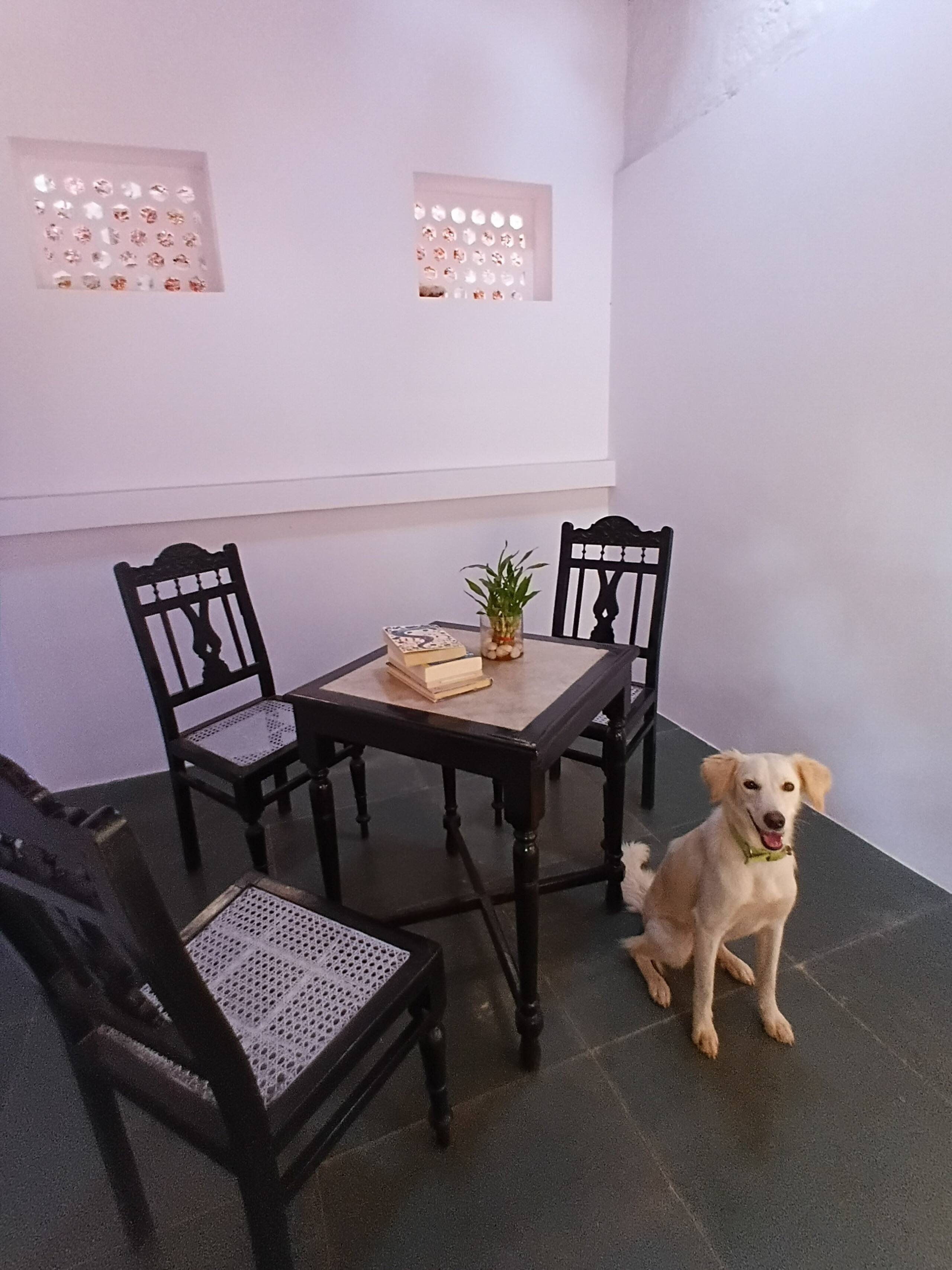 2BHK Heritage Goan Villa in Parra • Pet-friendly 26