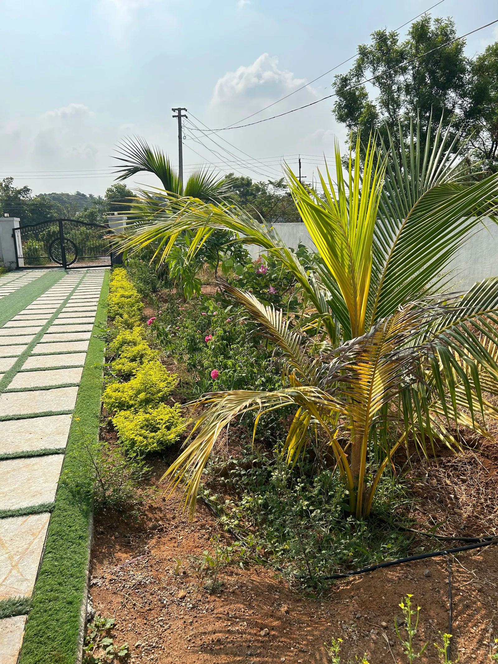 Vrindhavan - stay in green 29