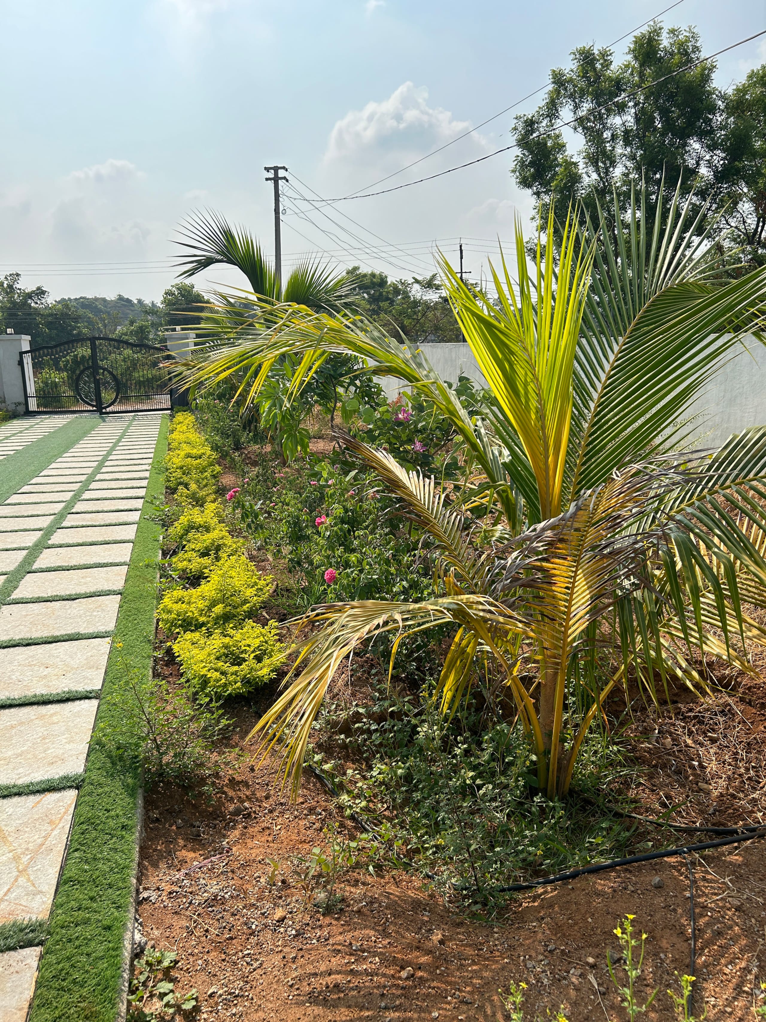Vrindhavan - stay in green 29