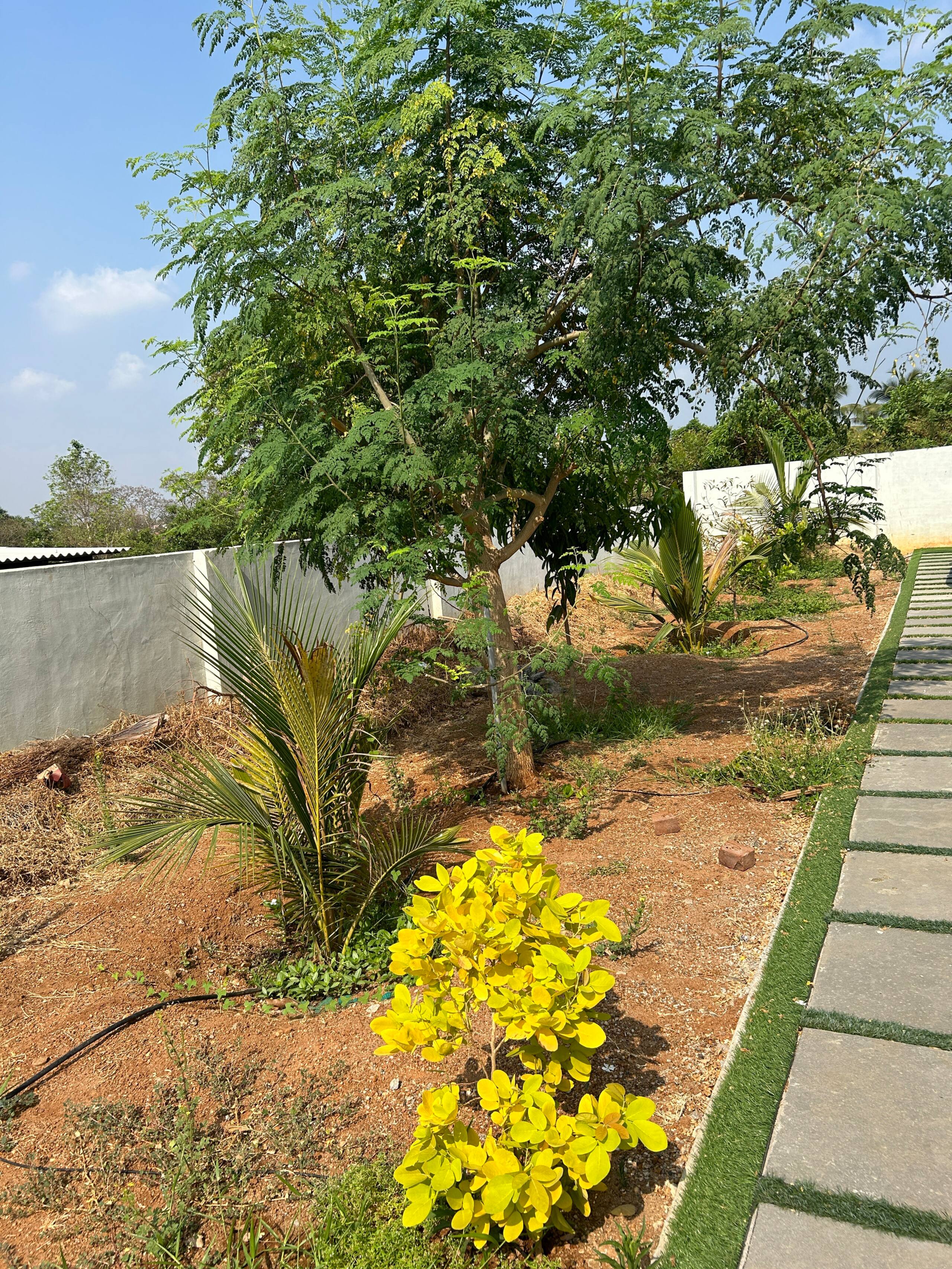 Vrindhavan - stay in green 31