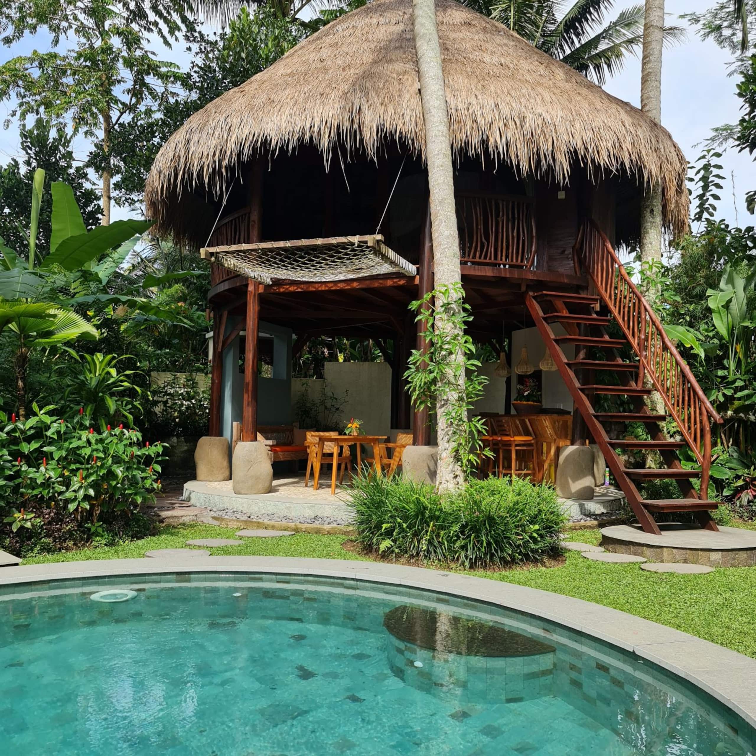 umatreehouse 14