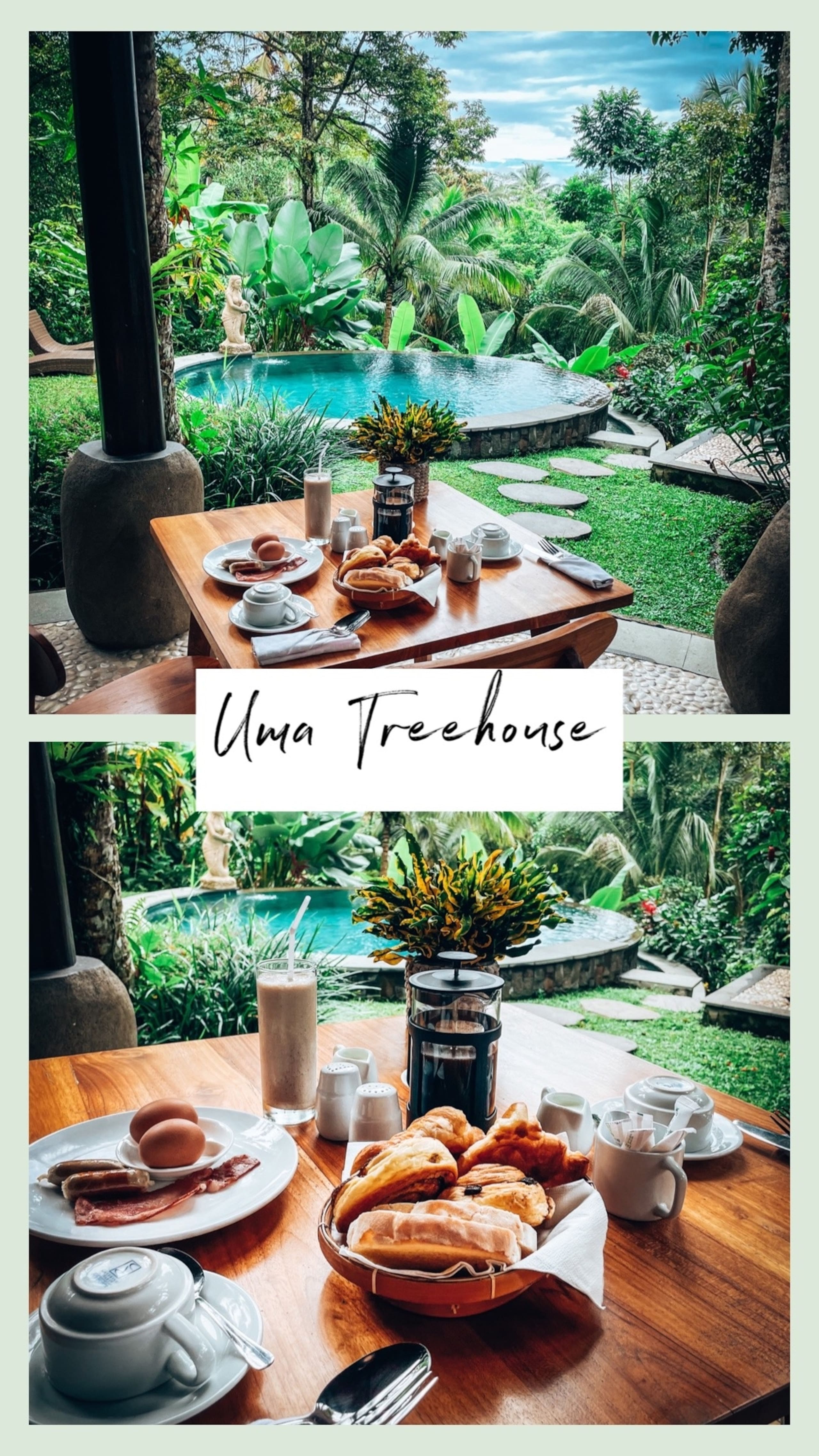 umatreehouse 23