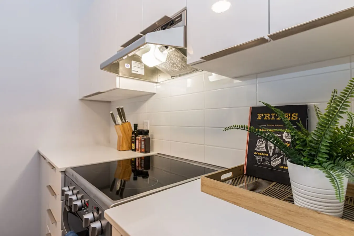 Plateau - New Urban and Well Located 1 Bedroom Apartment - Unit 5 9