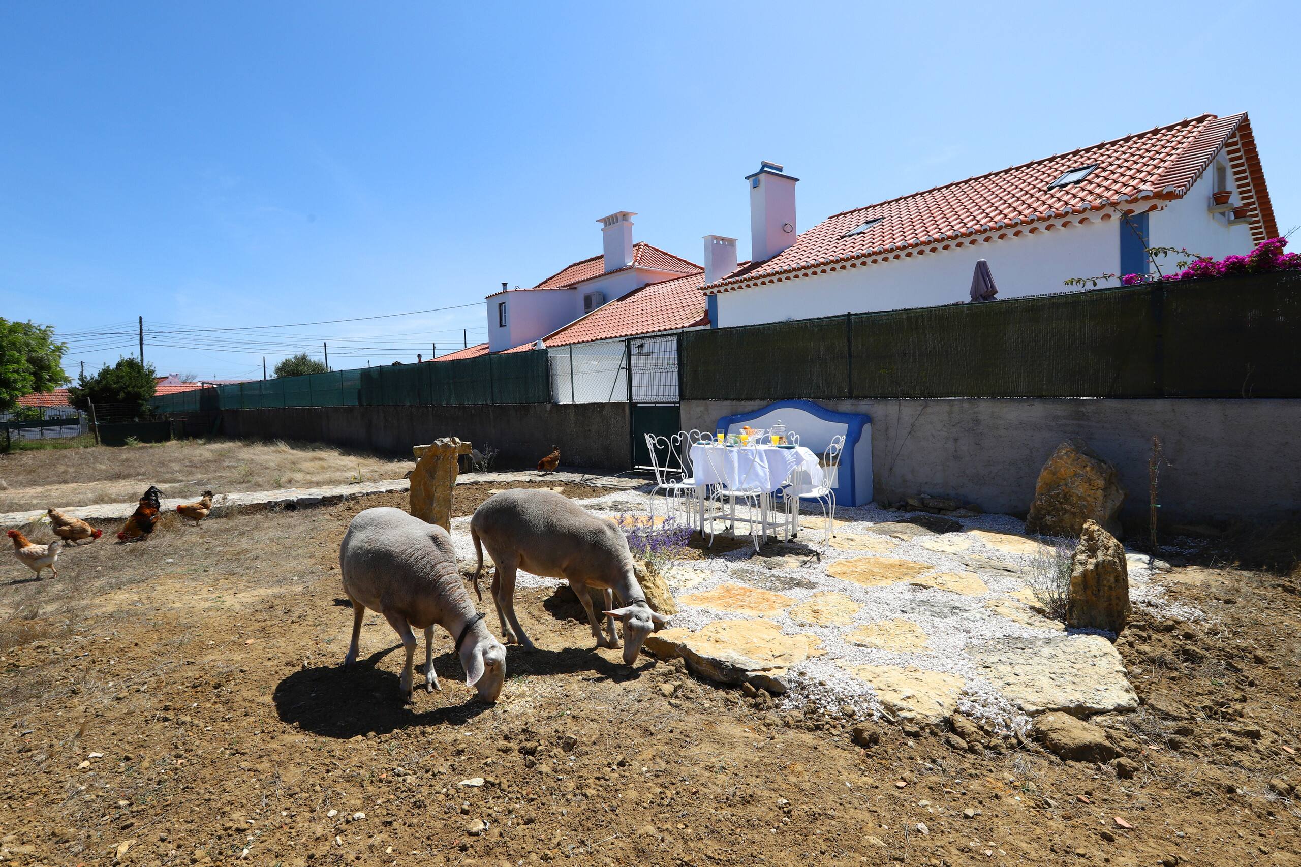 The Sheep’s House 38