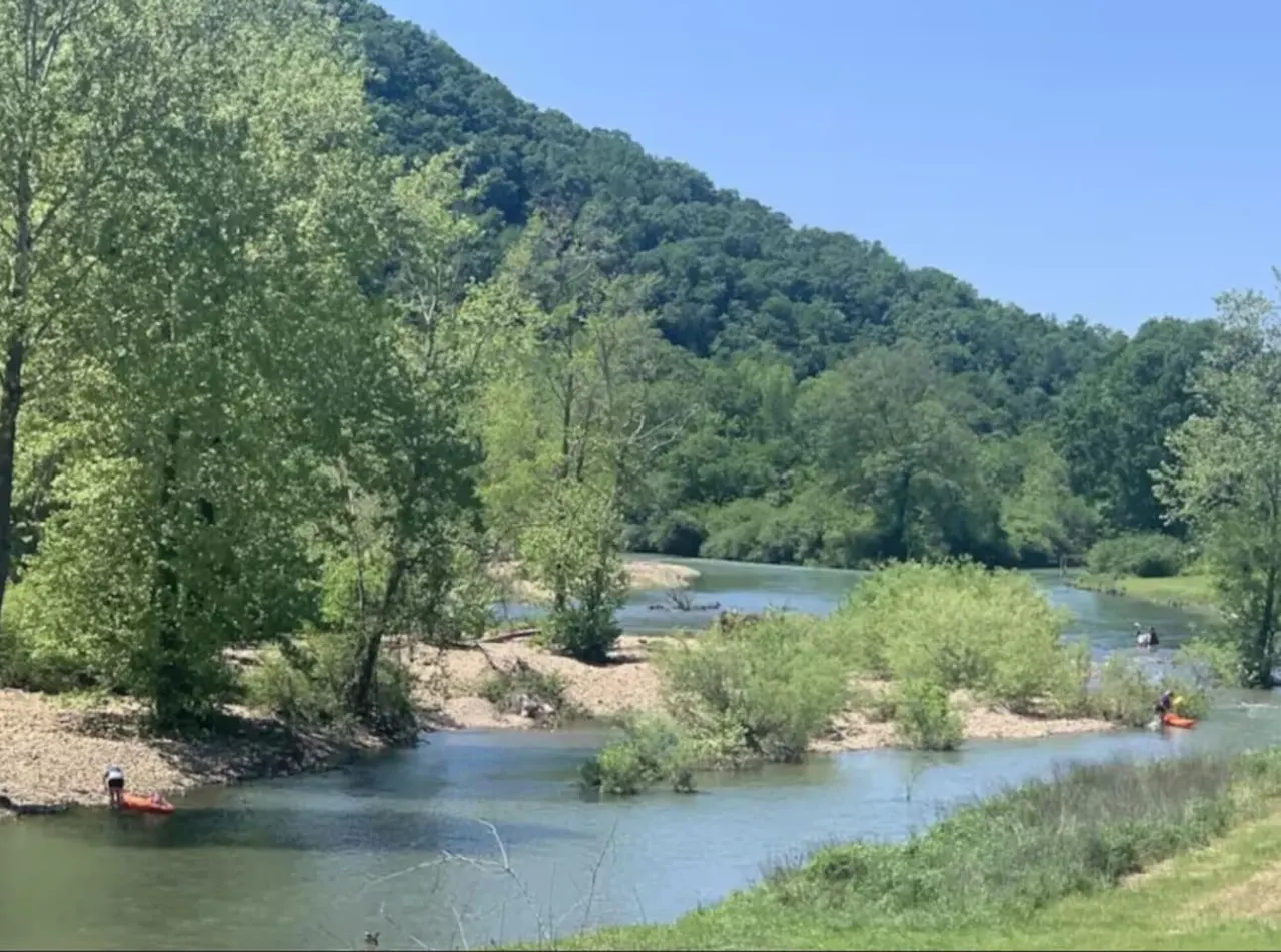 The Hangout on the Caddo River — photo 2