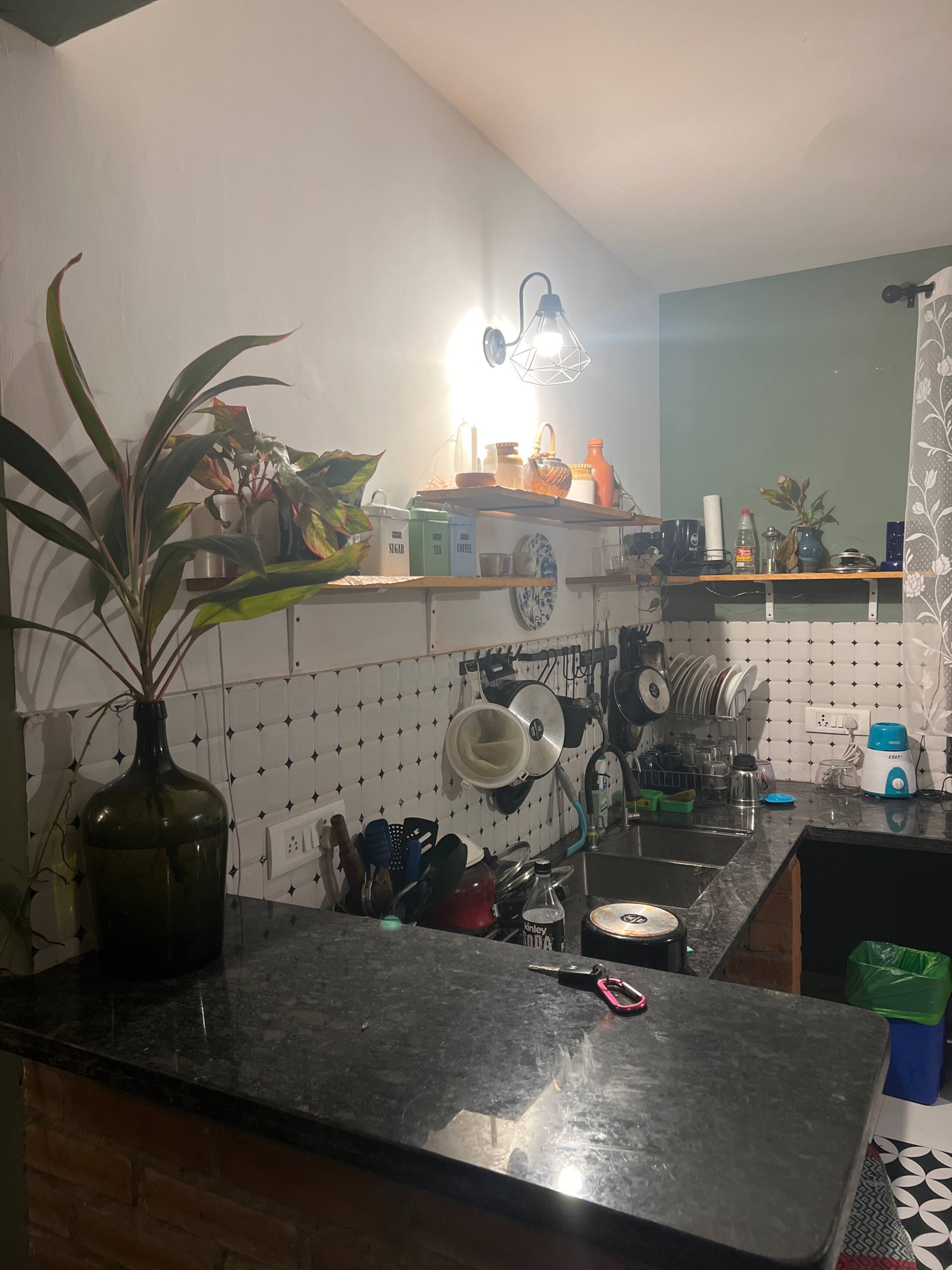 Jackfruit Tree Stay, 2 BHK, Cozy & Pet Friendly 3