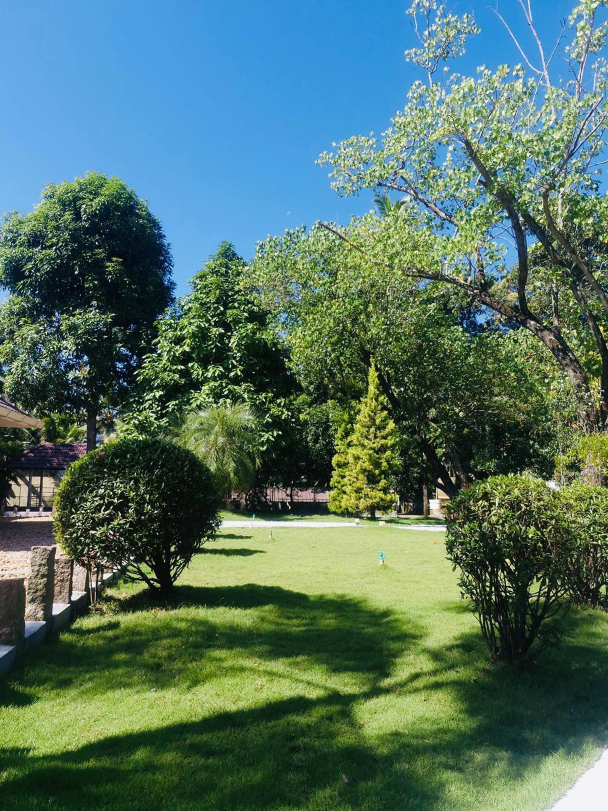 Greenview Mini Resort