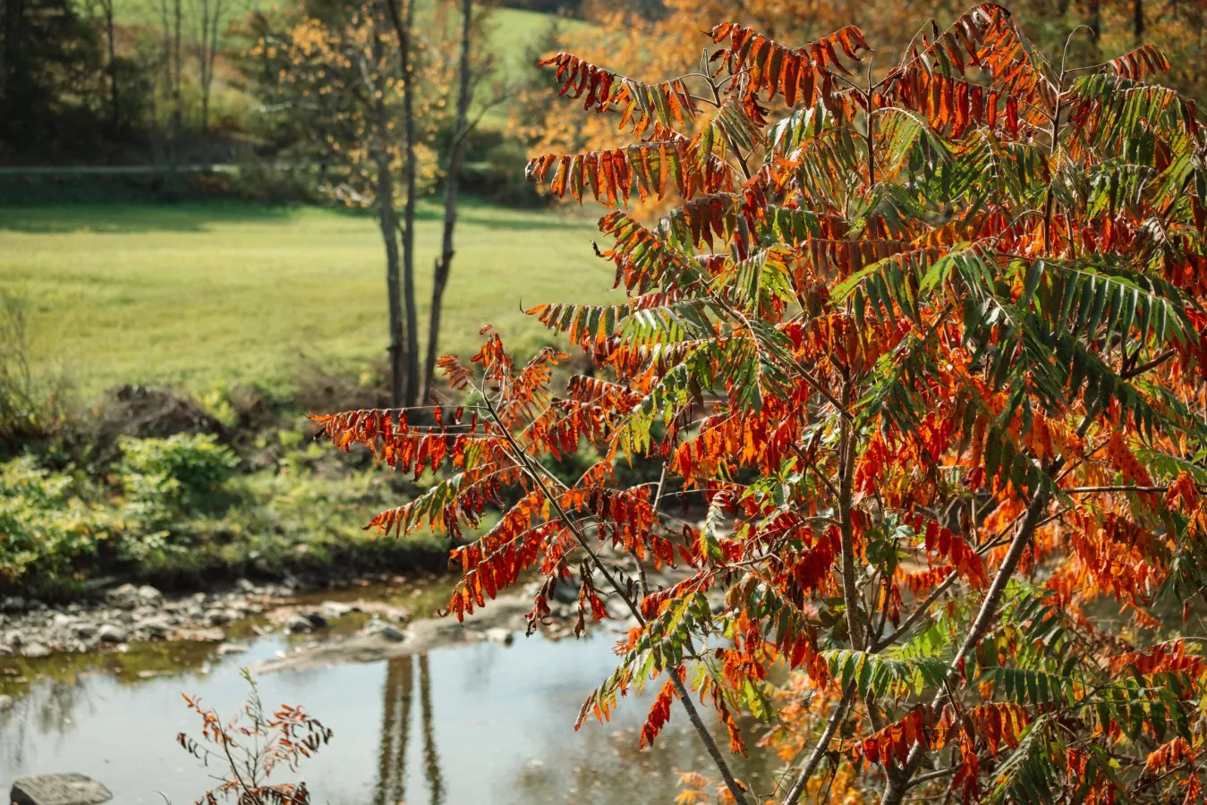 Fall Escape Near Killington | Hot Tub & Fire Pit — photo 5