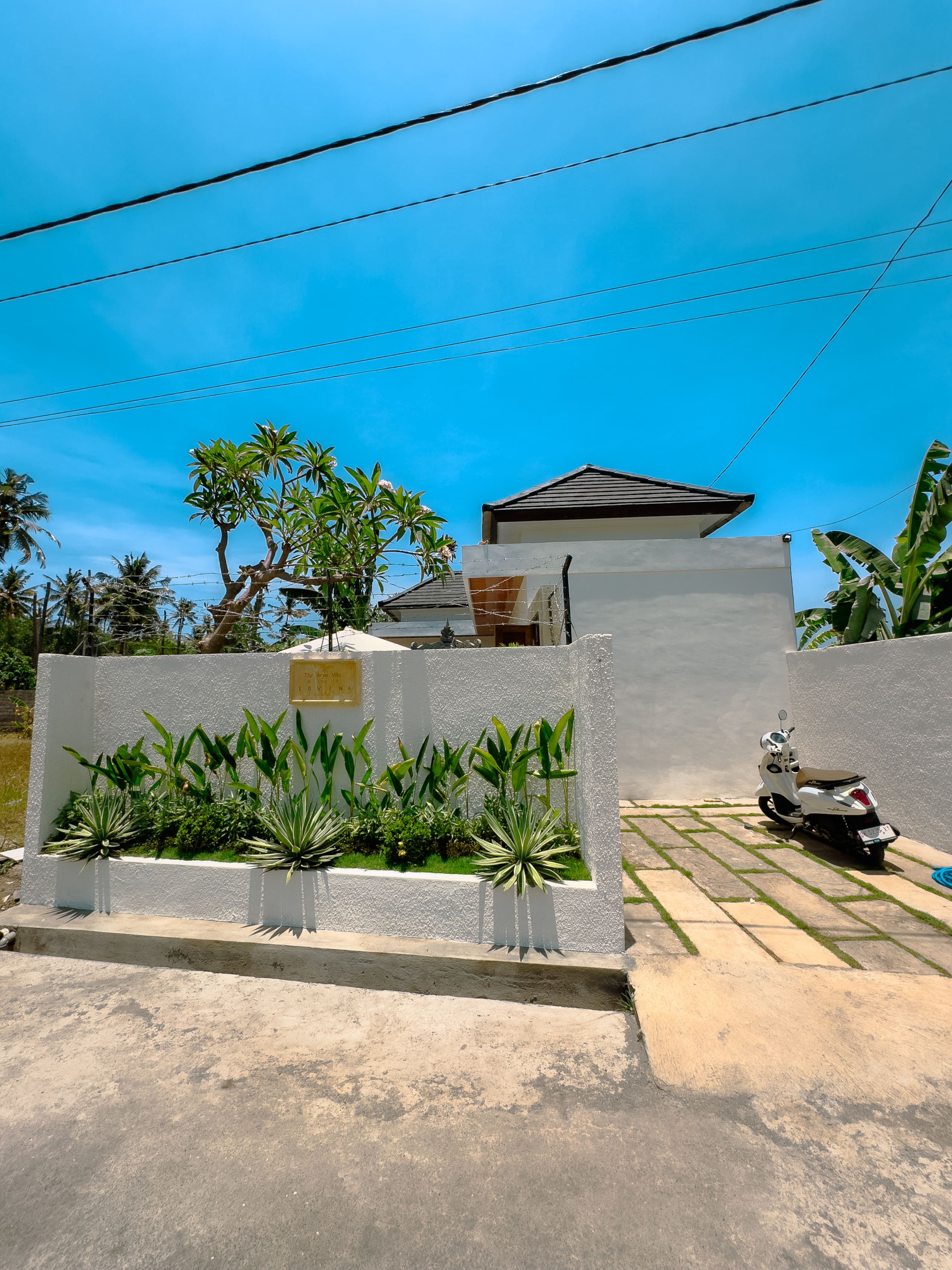 The Arya Villa Lovina - Private 29