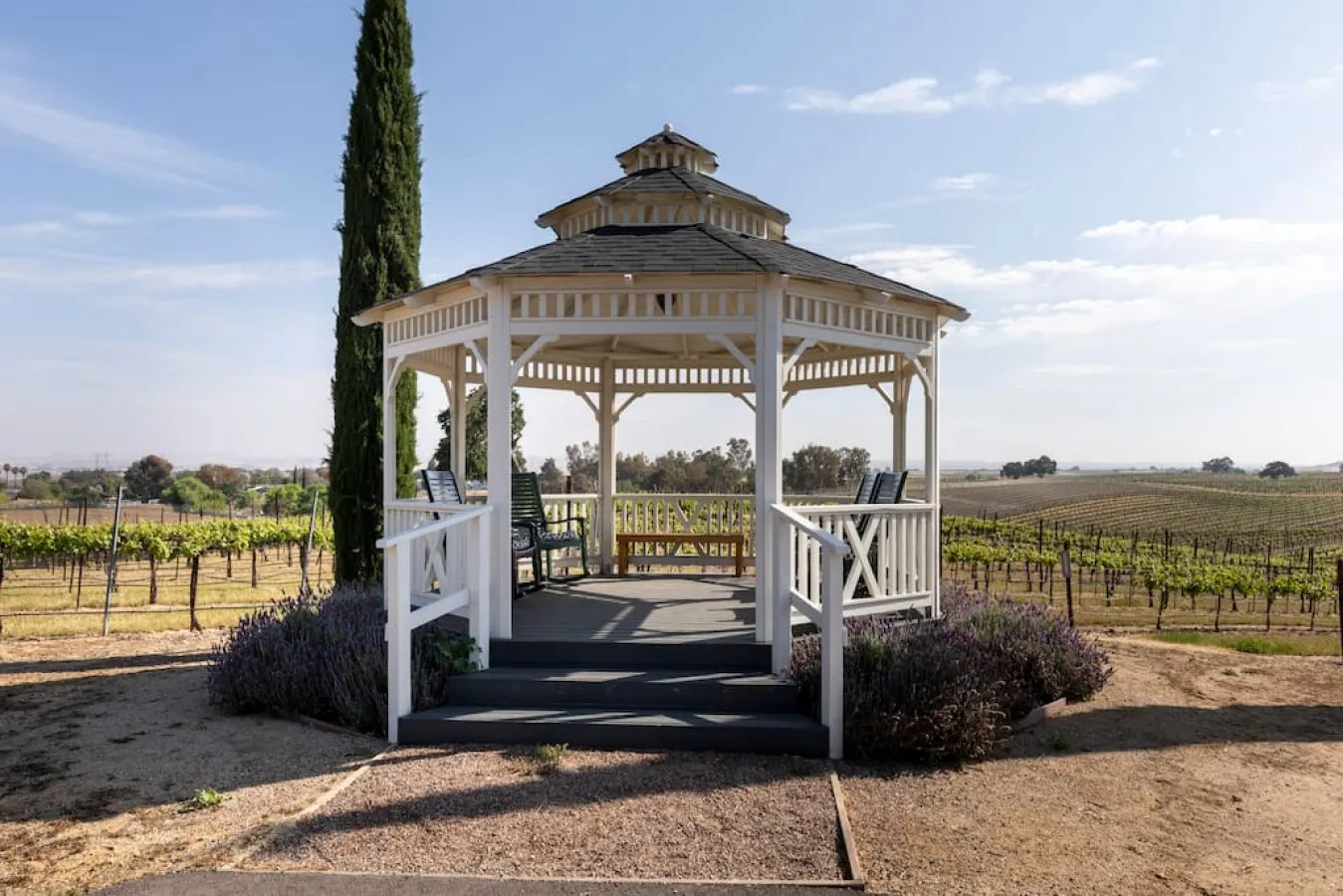 Chateau Robles - Gated Private 30 Acre Vineyard 16