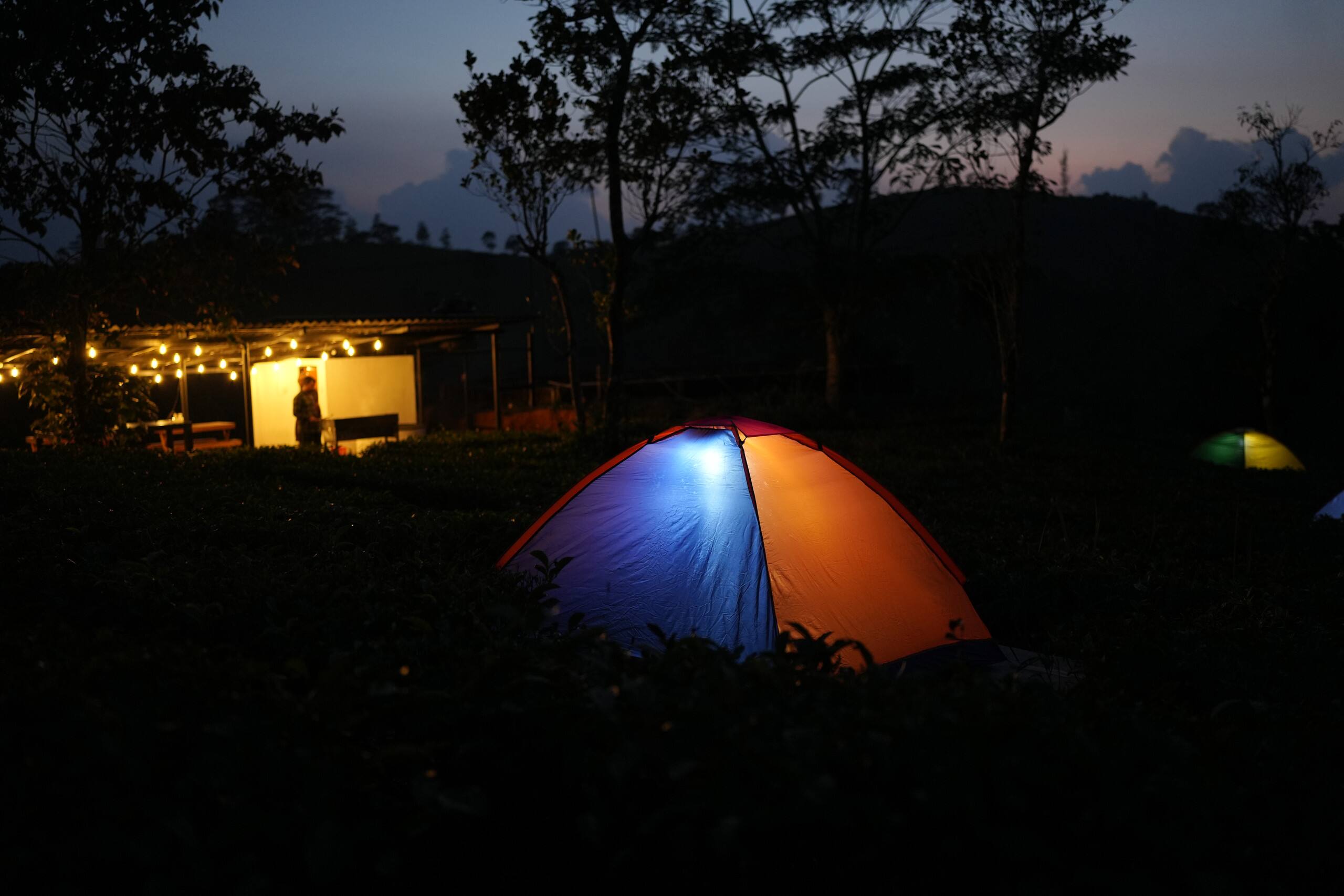 Aura Tree House Tent 1 — photo 3