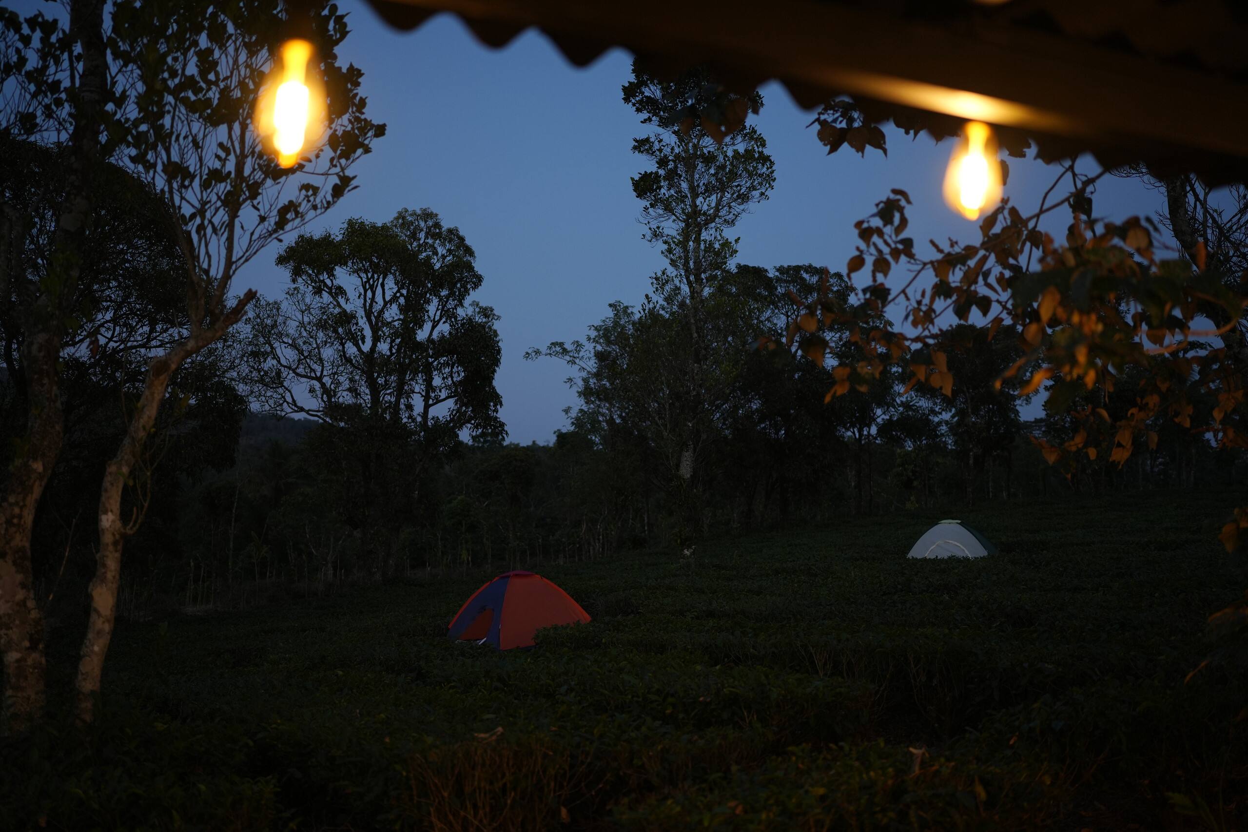 Aura Tree House Tent 1 30